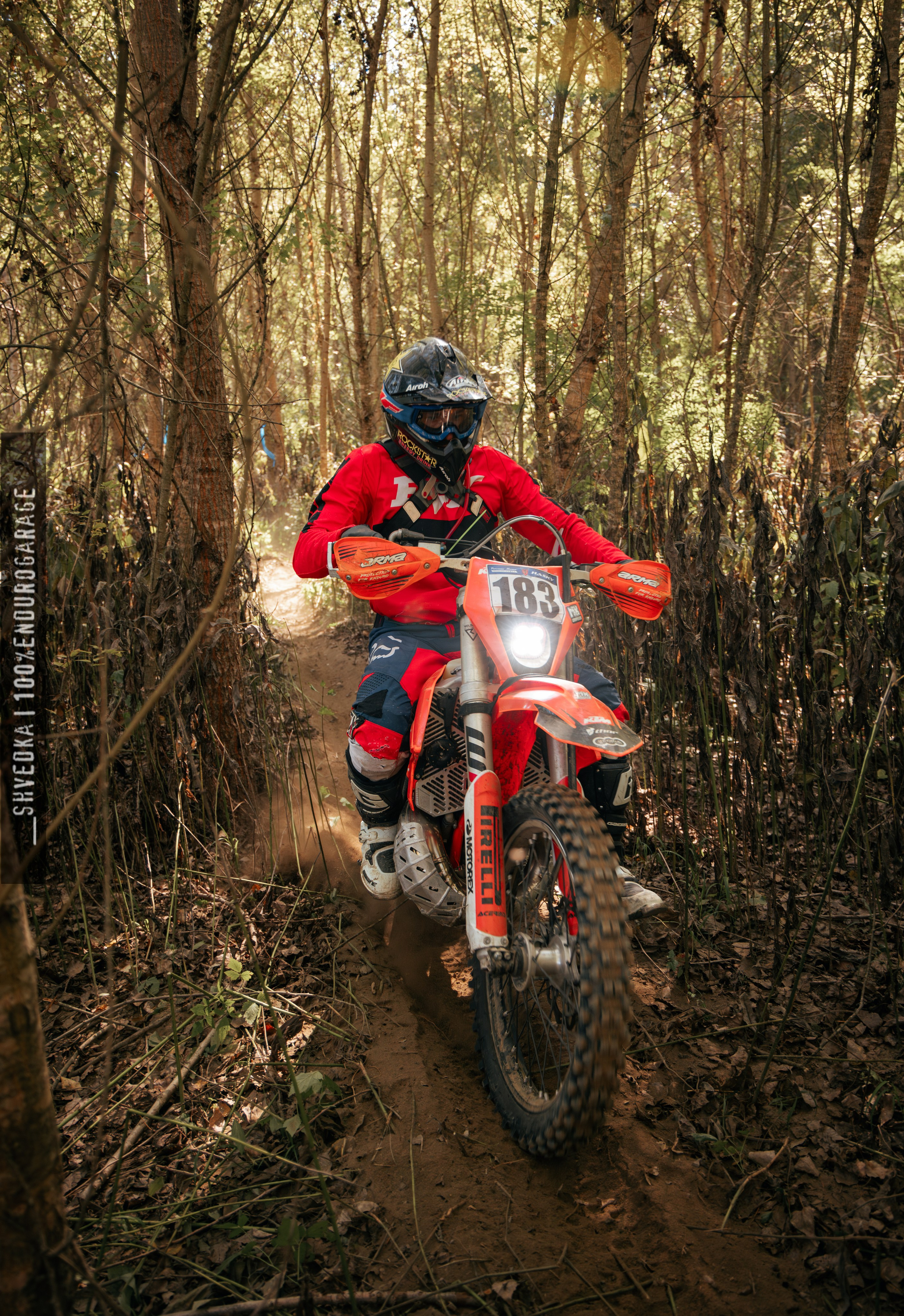 1 лесной день. Ваш экстрим фотограф Кудрева Яна