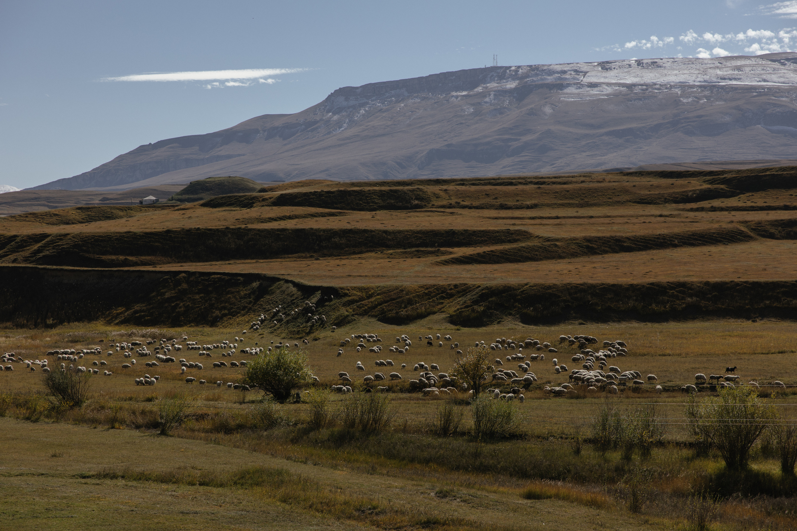 Даня и Ира. Свадебный фотограф Виктория Монахова Москва