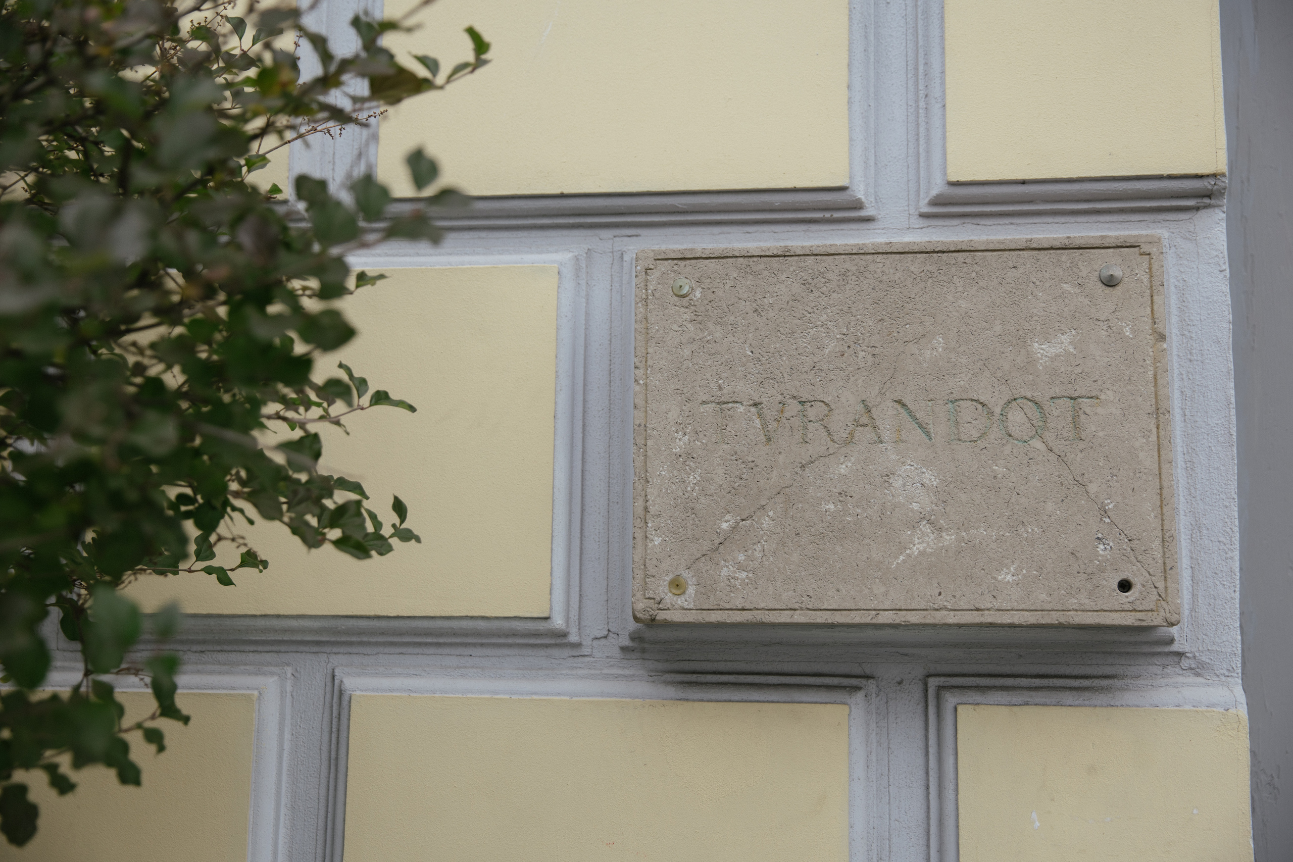 Рома и Аня. Свадебный фотограф Виктория Монахова Москва