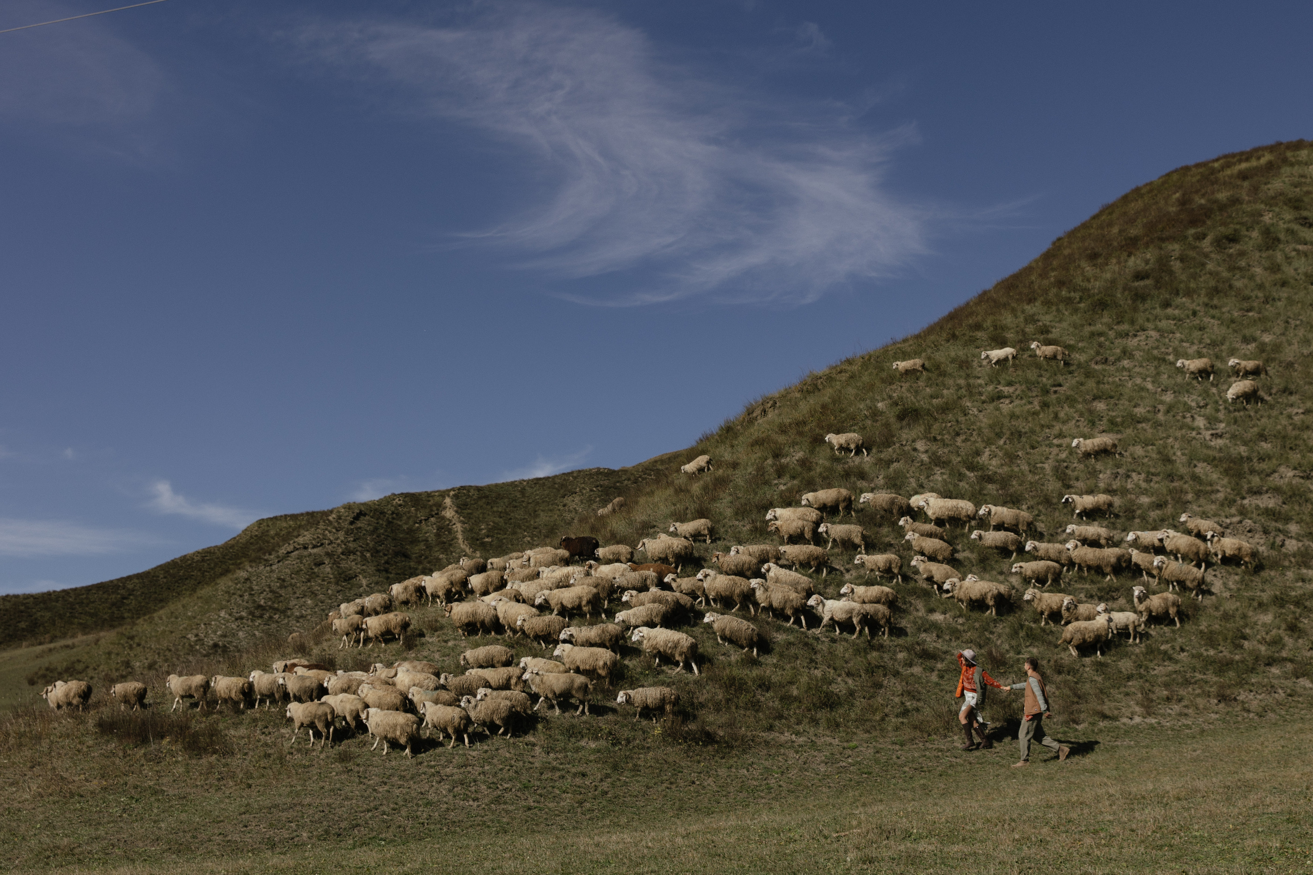 Даня и Ира. Свадебный фотограф Виктория Монахова Москва