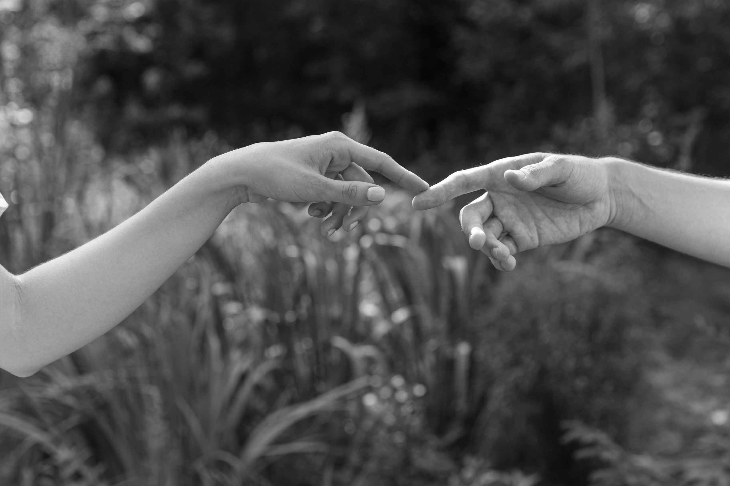 Антон и Арина. Свадебный фотограф Виктория Монахова Москва