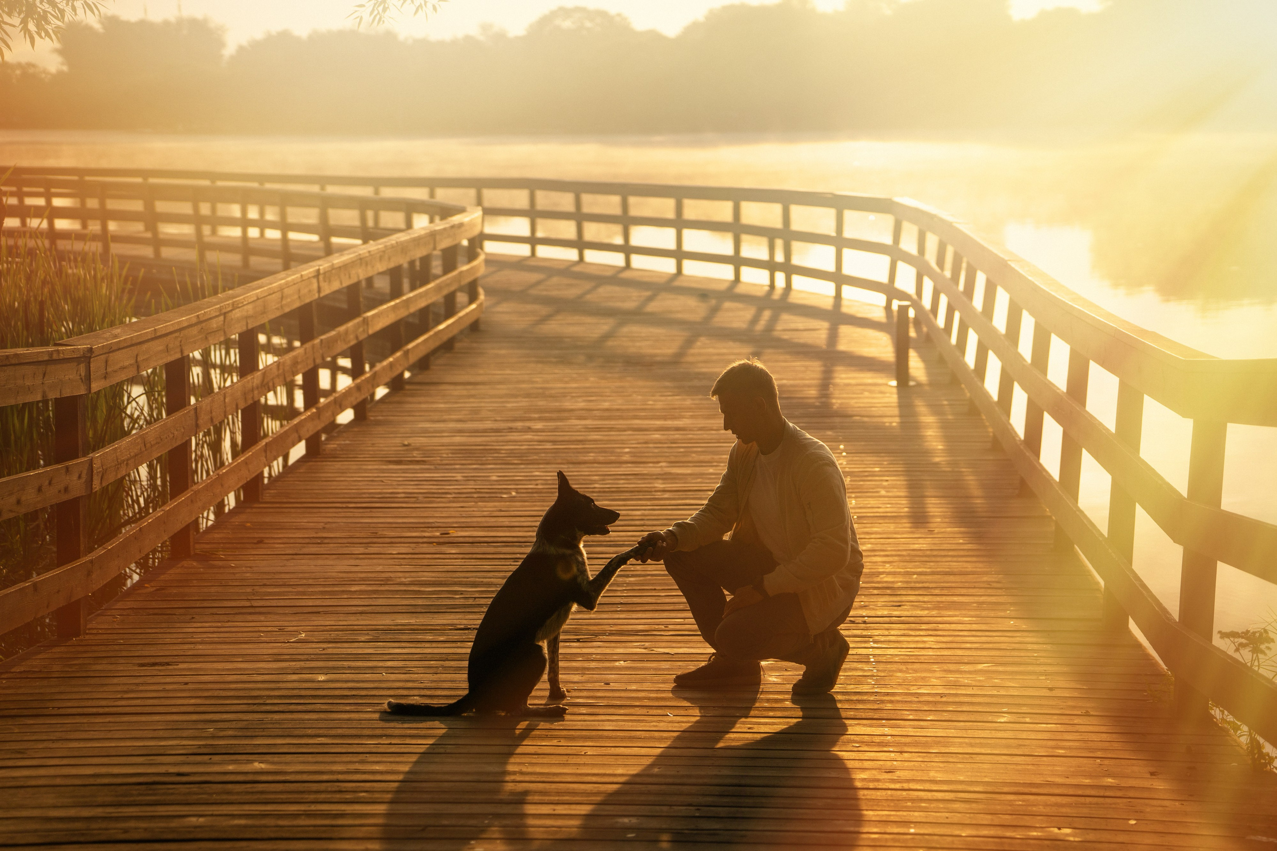 Катя, Сергей и Флинт. Фотограф анималист в Москве и Санкт-Петербурге Свиридова Анна