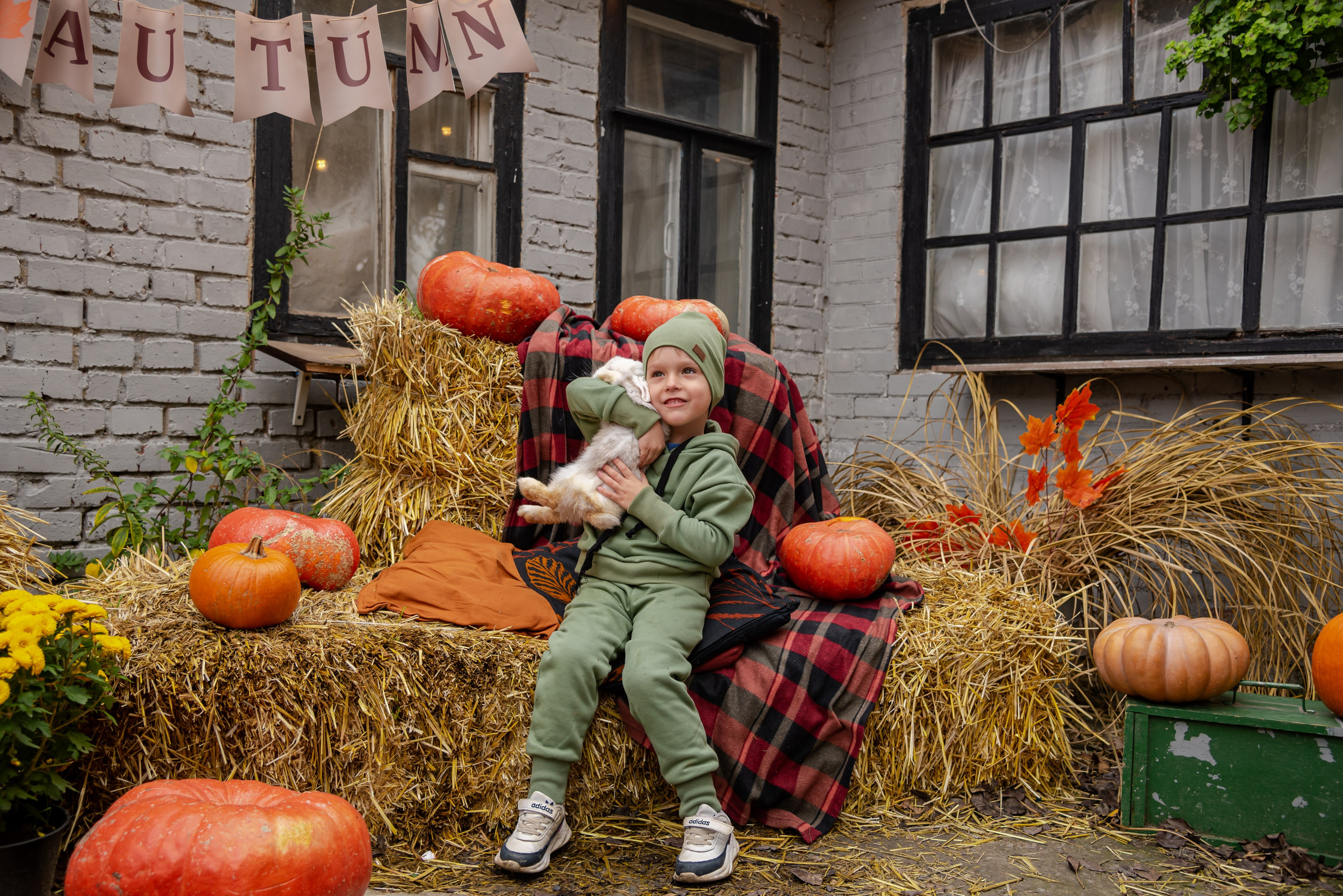 Авакадо. Фотограф Галина Нестерова