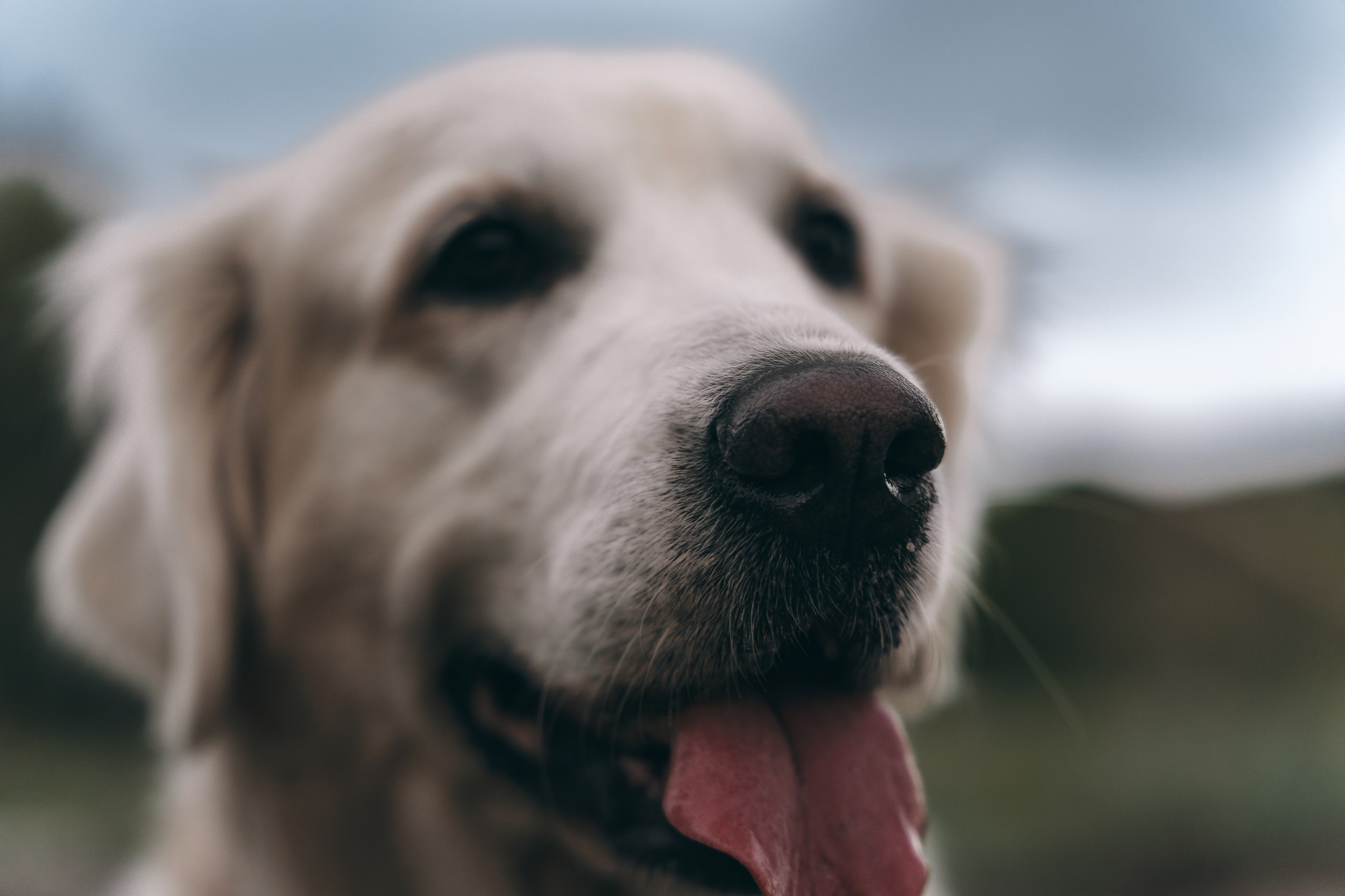 Ира и Барселона: история с кодовым названием «обложка VOGUE». Портретный и репортажный фотограф в Воронеже: Анастасия Пузикова