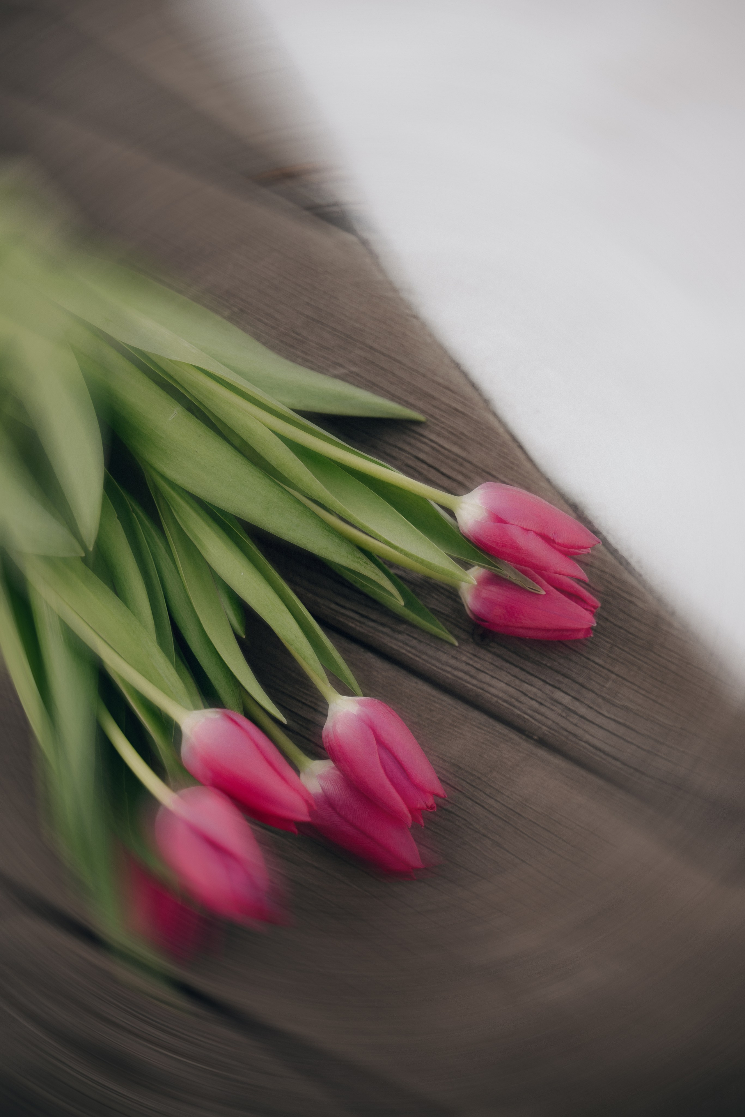 Марина Скворцова, психолог. Екатерина Курбанова. Женский фотограф