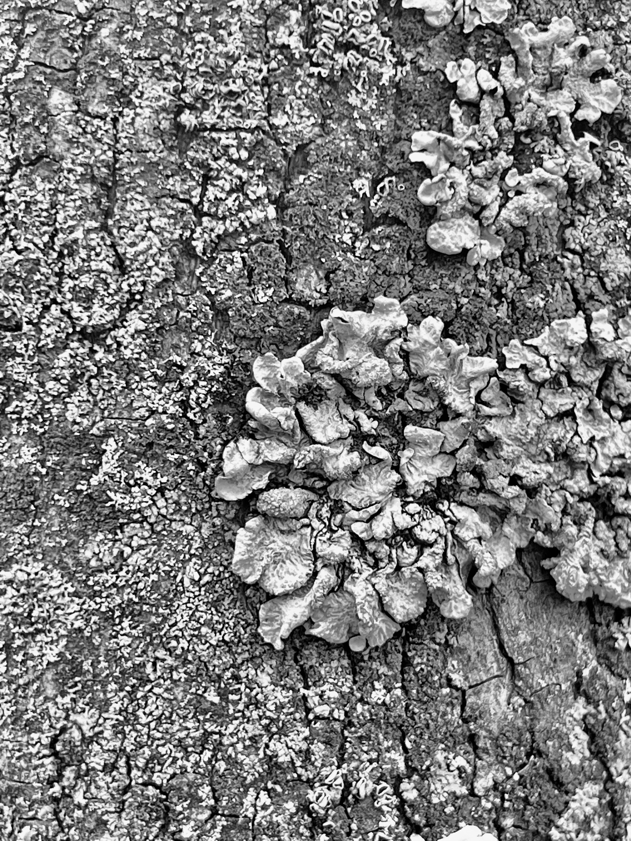 Frame 34 / 34 кадр. Художник Катерина Копейкина / Artist Katerina Kopeikina