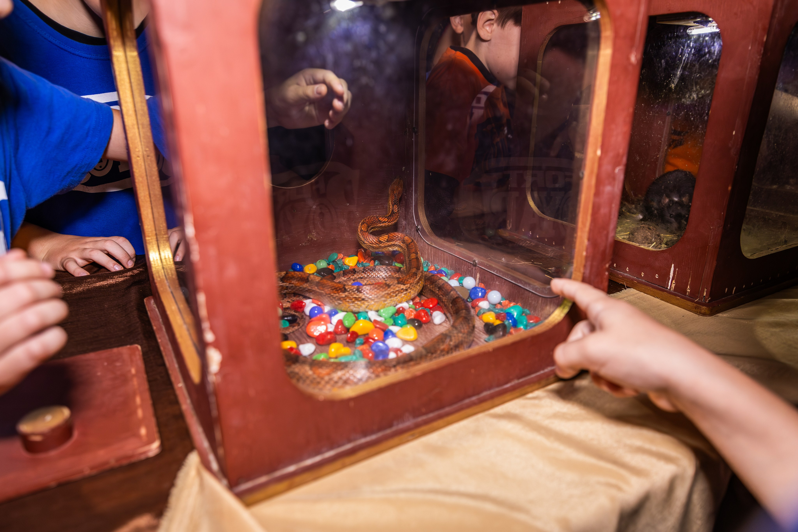 Форт Боярд. Екатерина Рыбина фотограф в Нижнем Новгороде