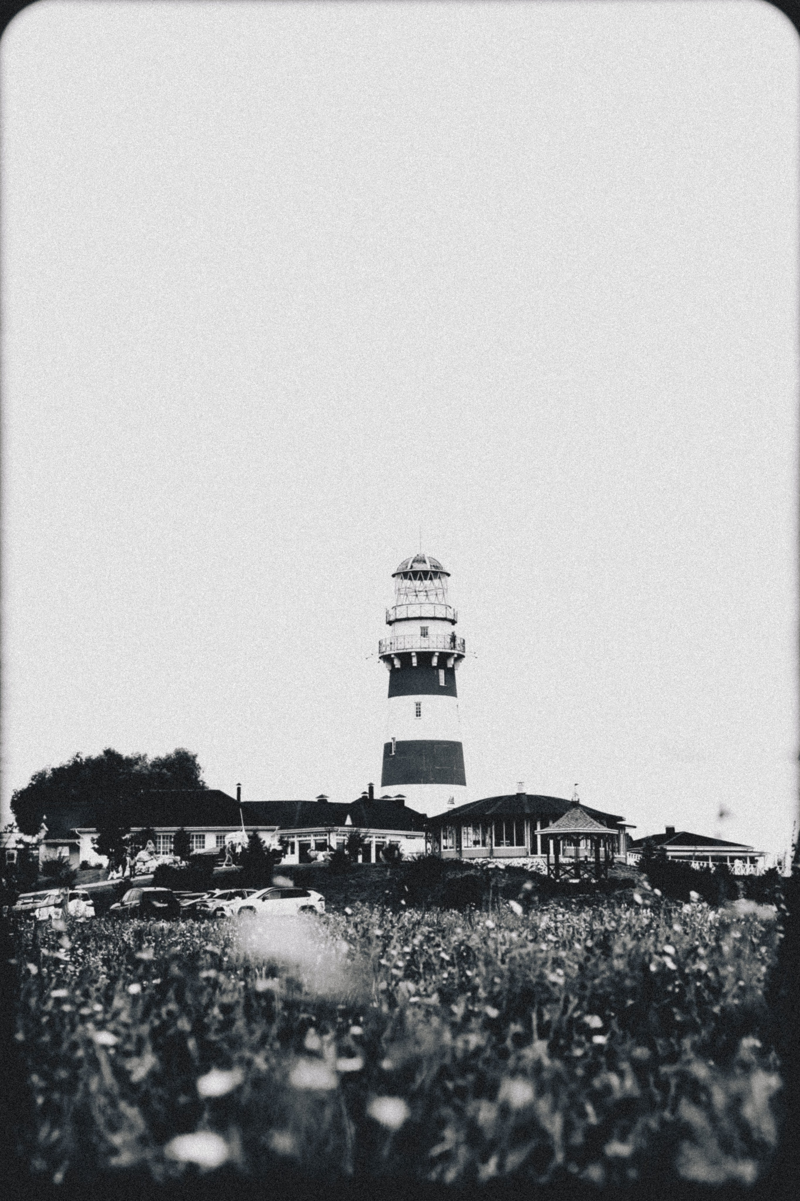 Фестиваль в Рязани. Свадебный и семейный фотограф в Воронеже Свиридова Евгения