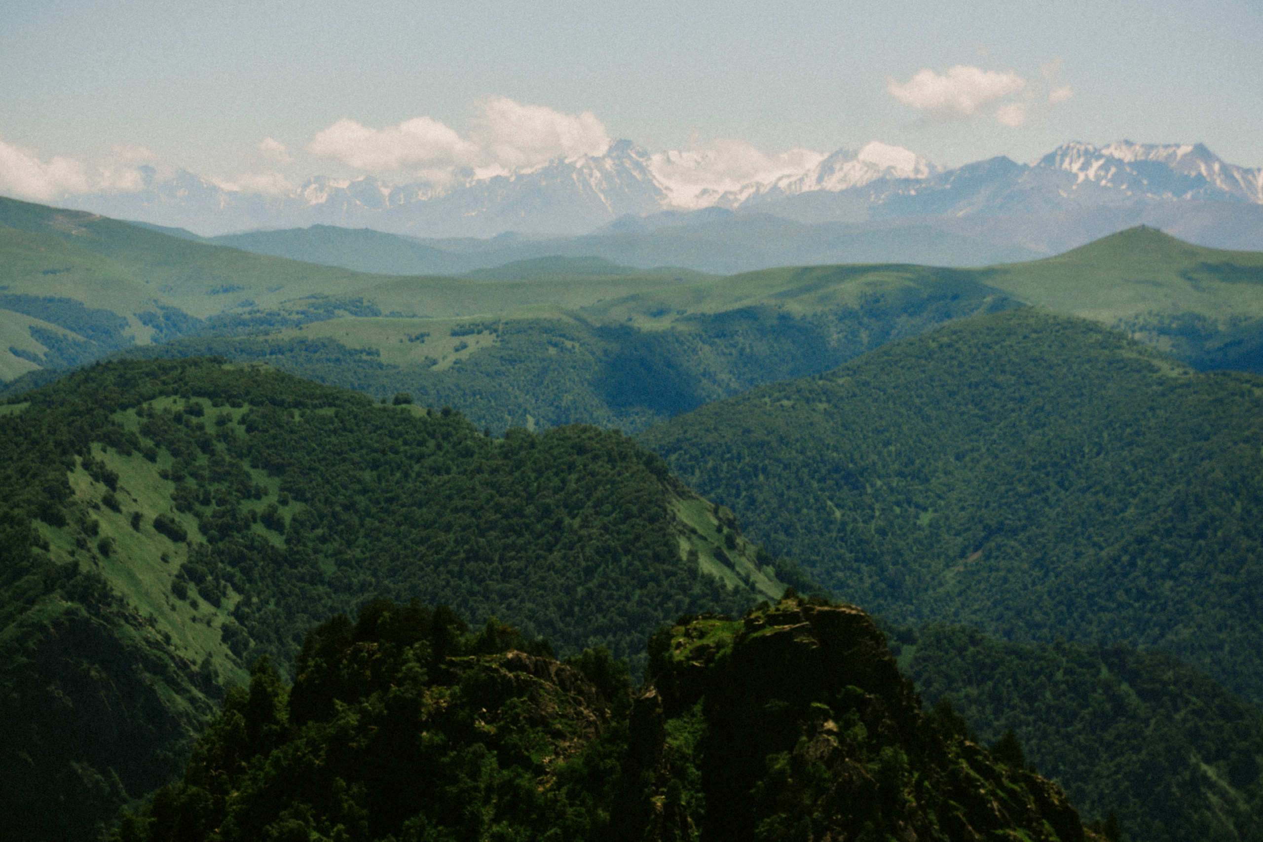 Nature|Природа. Фотограф в Ростове-на-Дону / Ильмурзаева Динара