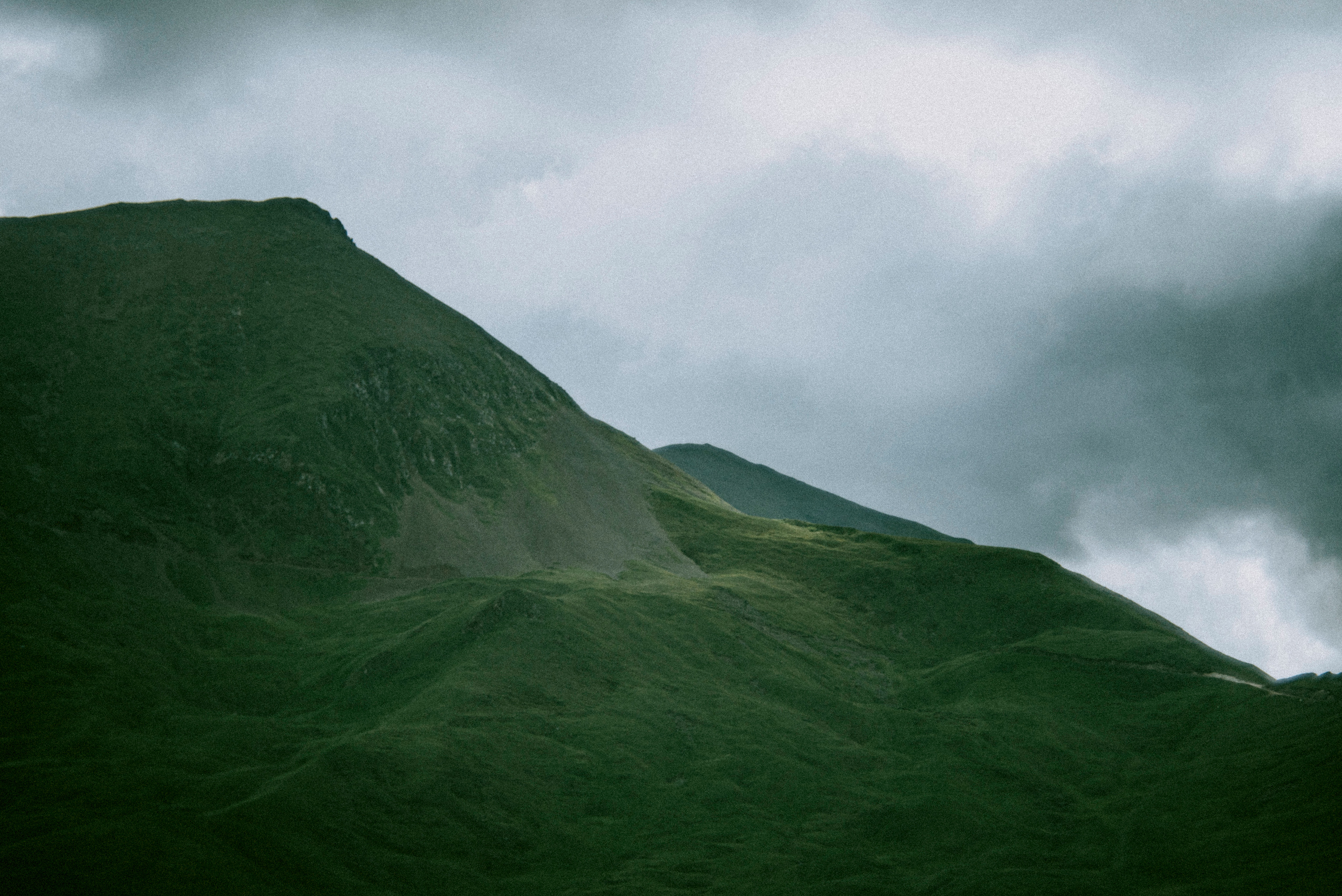 Nature|Природа. Фотограф в Ростове-на-Дону / Ильмурзаева Динара