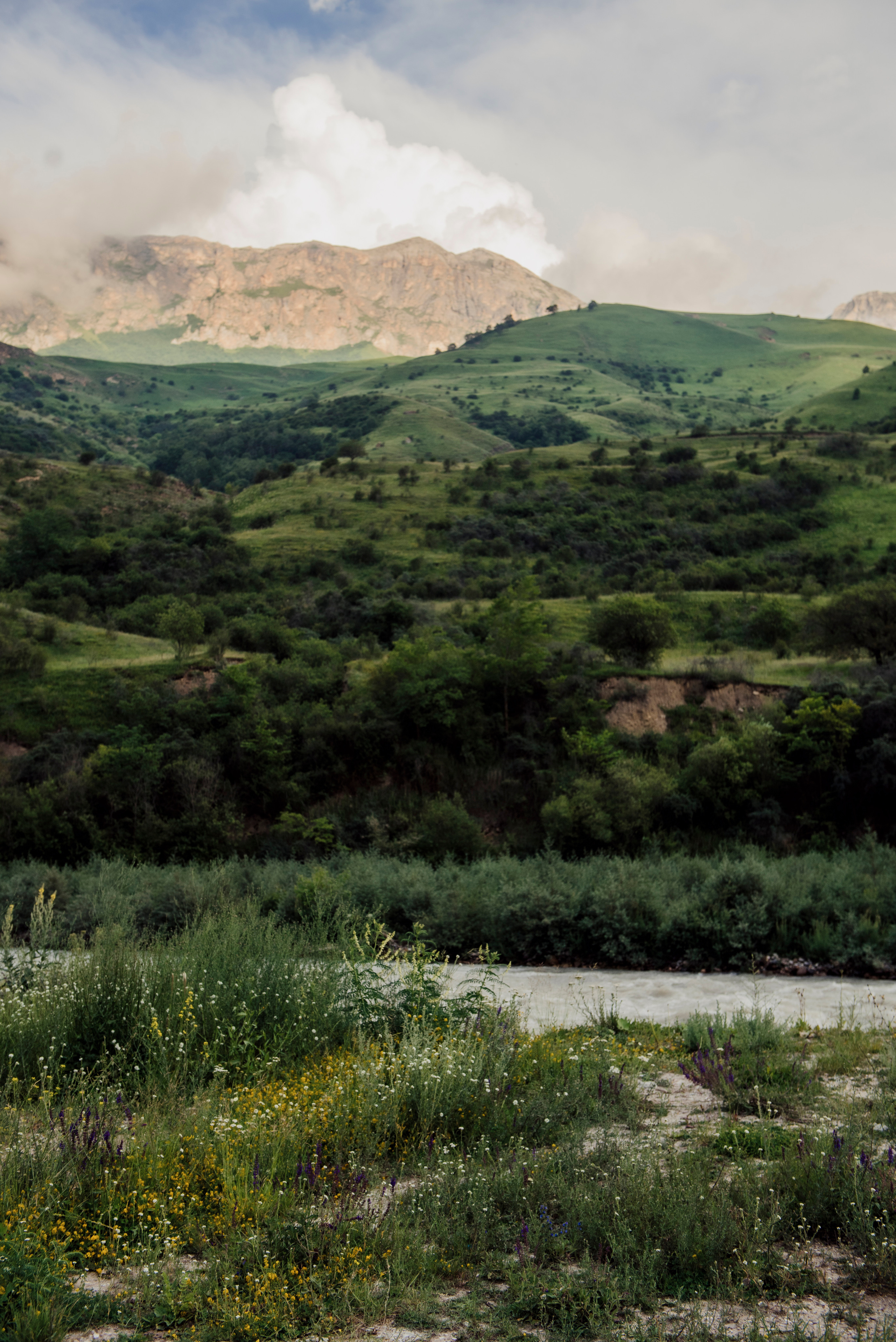 Nature|Природа. Фотограф в Ростове-на-Дону / Ильмурзаева Динара