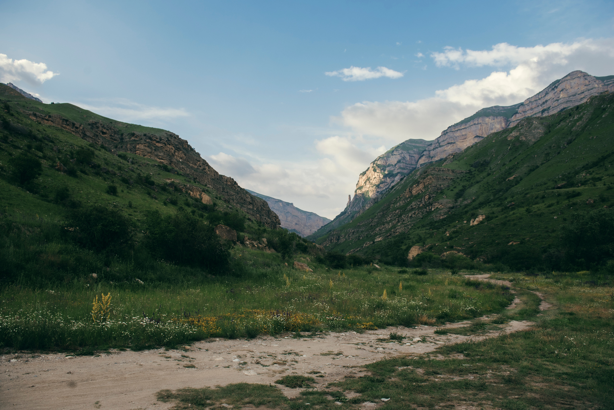 Nature|Природа. Фотограф в Ростове-на-Дону / Ильмурзаева Динара