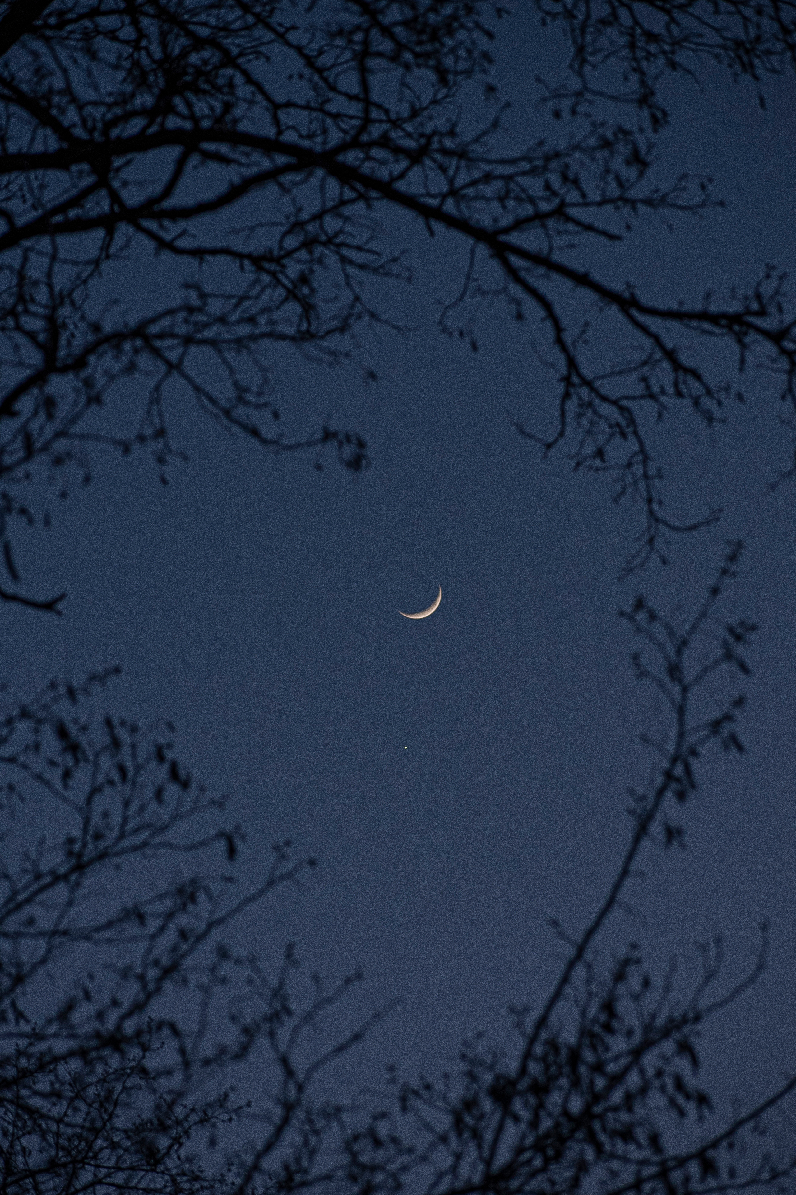 Луна. Фотограф в Ростове-на-Дону / Ильмурзаева Динара