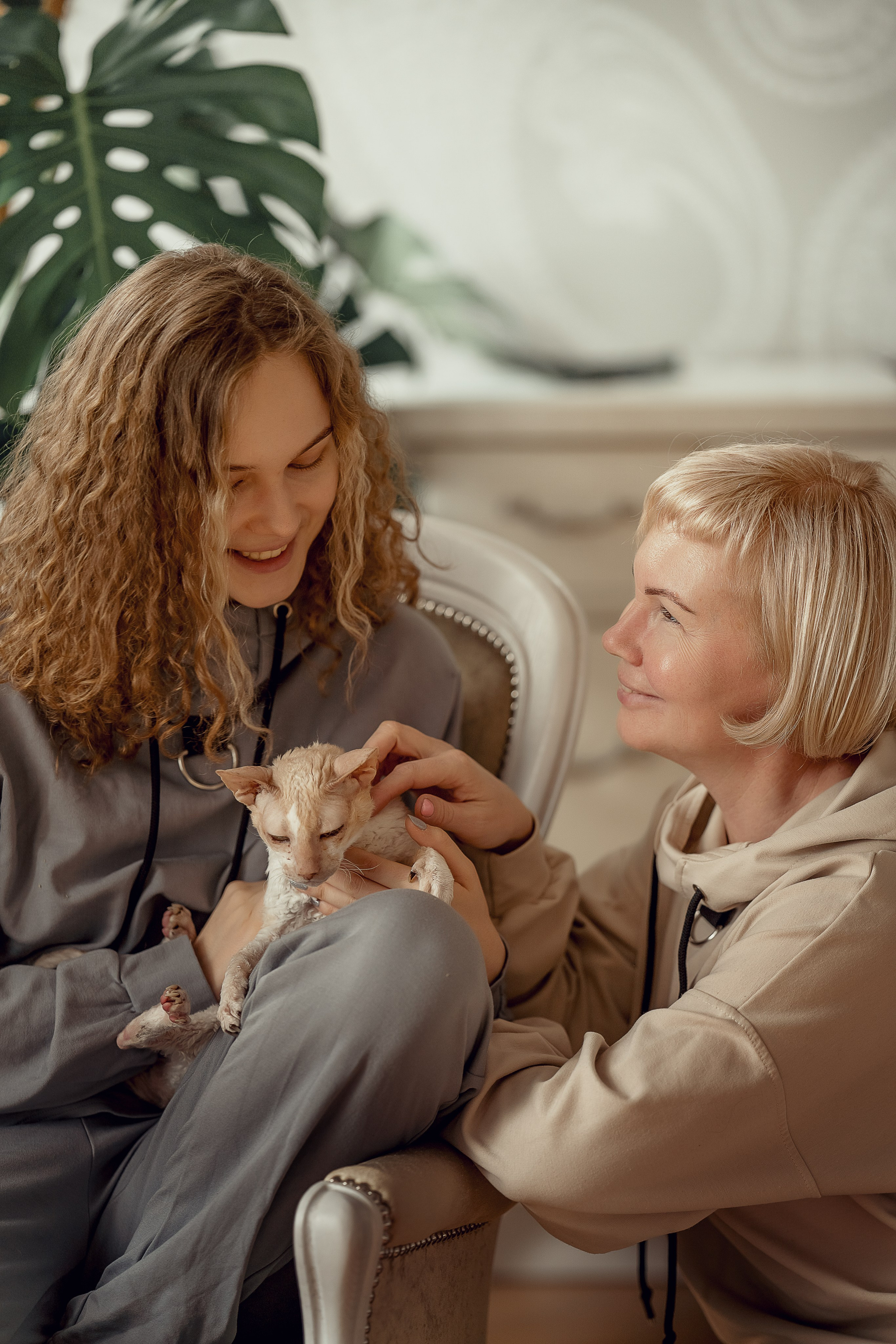 Семейная с кошками. Портретный и семейный фотограф в Санкт-Петербурге Татьяна Дубова