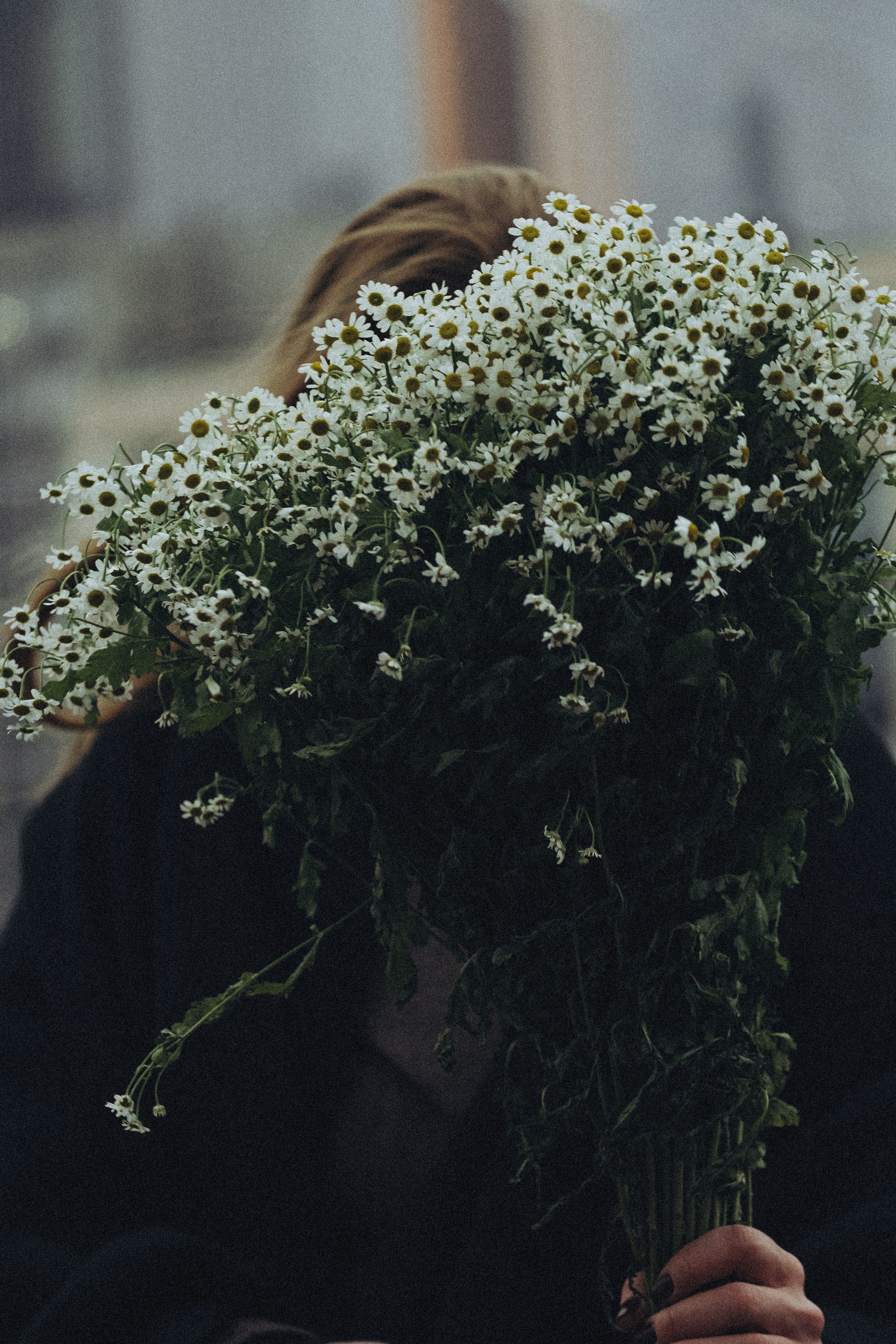 ПРОГУЛКА ПО МОСКВЕ. Профессиональный фотограф, Санкт-Петербург — Виктория Богомолова