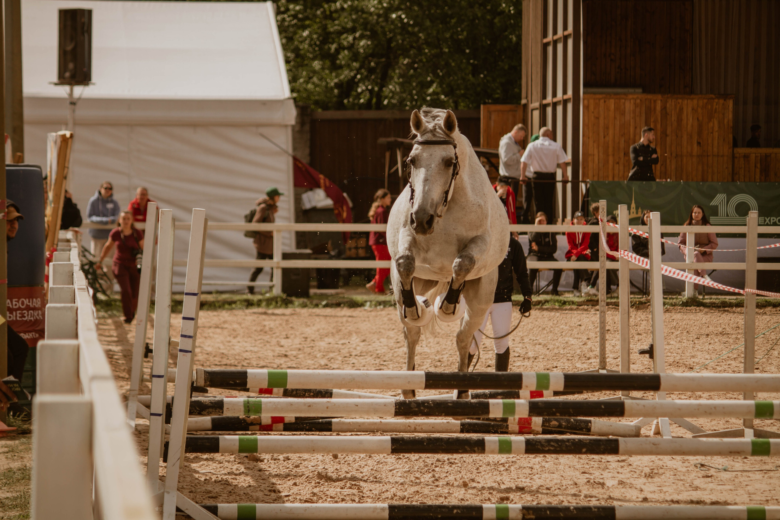 ИППОСФЕРА — Международная конная выставка. Создадим шедевр? Виталина и её фотоискусство