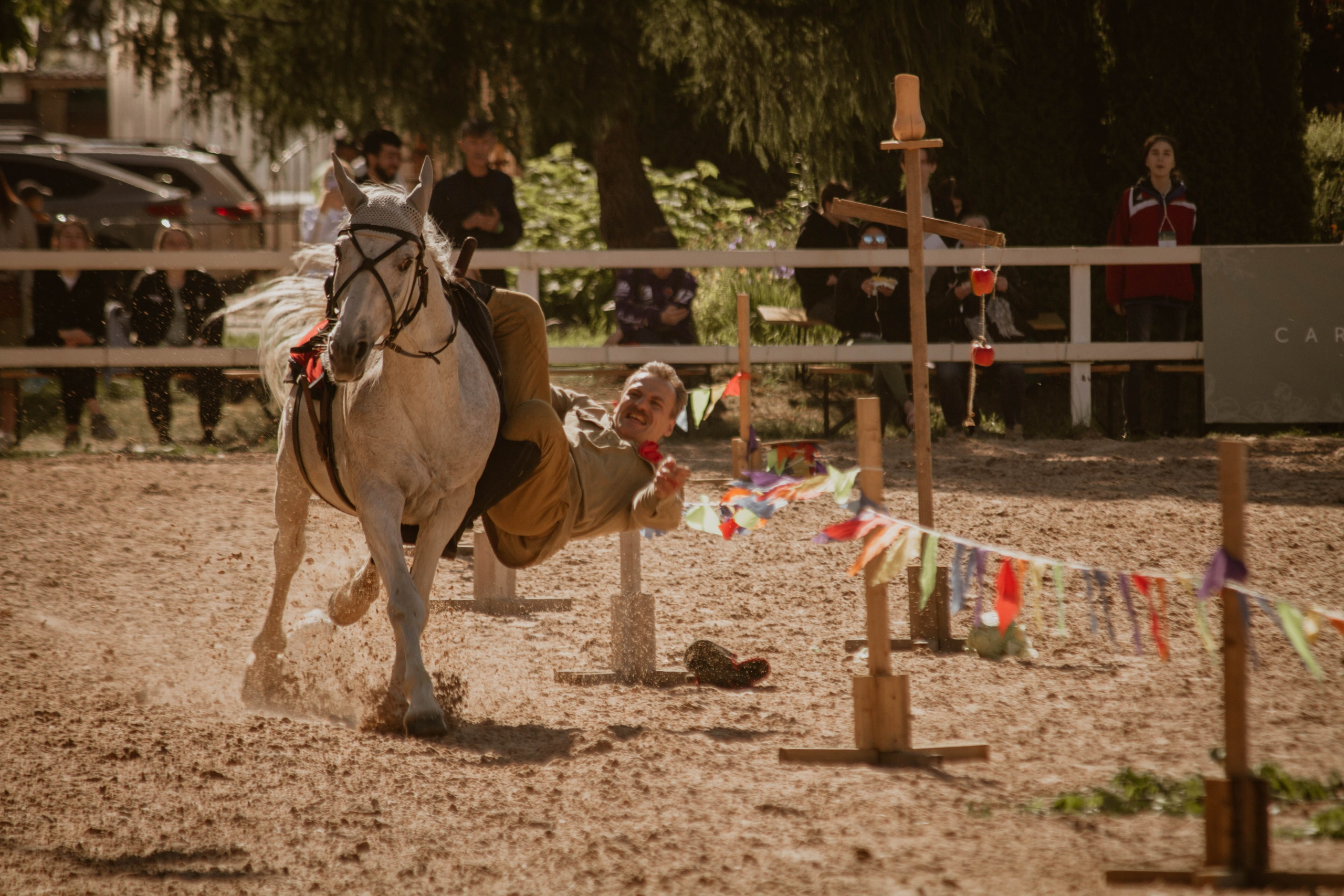 ИППОСФЕРА — Международная конная выставка. Создадим шедевр? Виталина и её фотоискусство