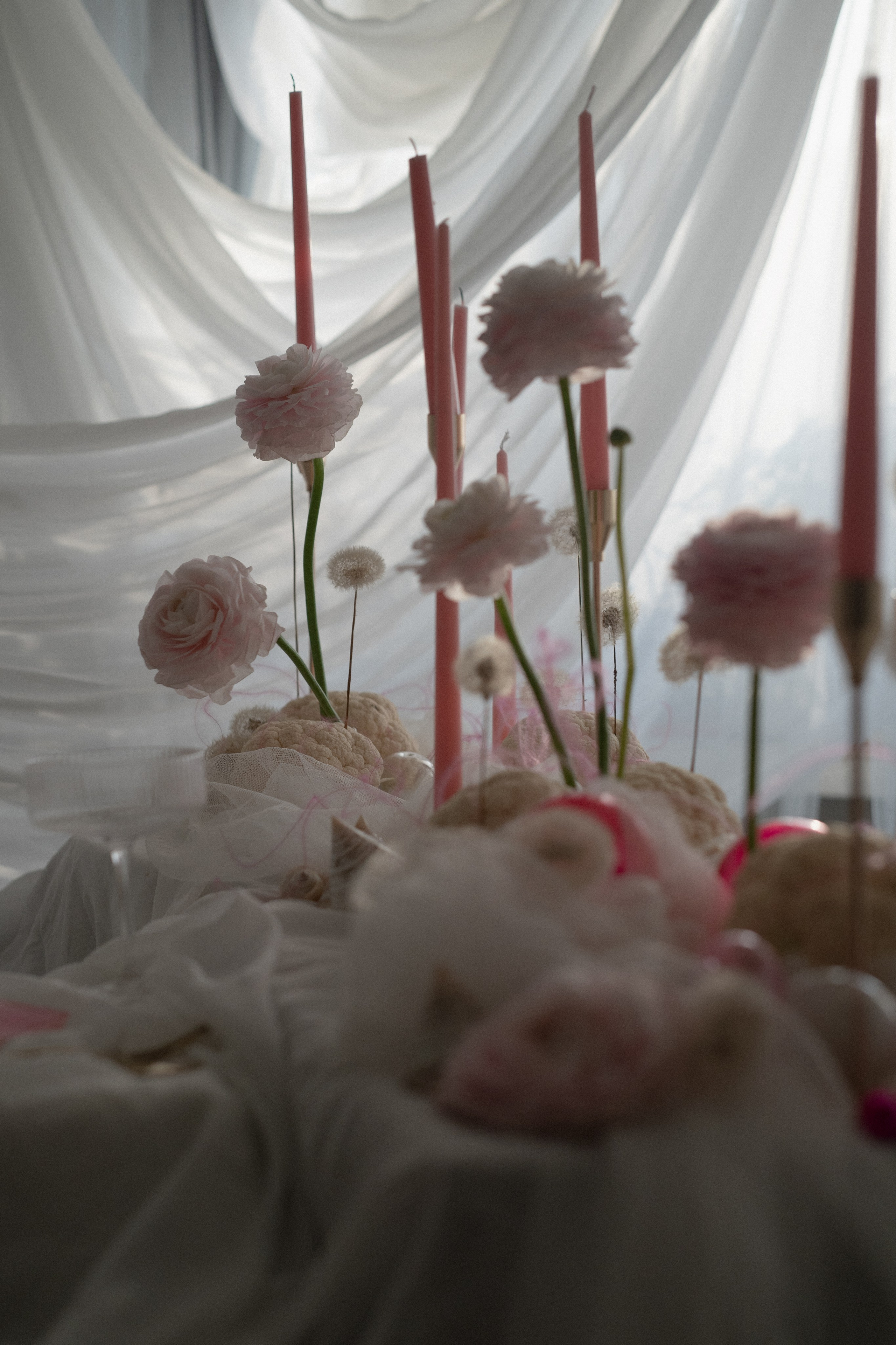 Фотоистория. Видеограф фотограф в Москве Ирина Царегородцева