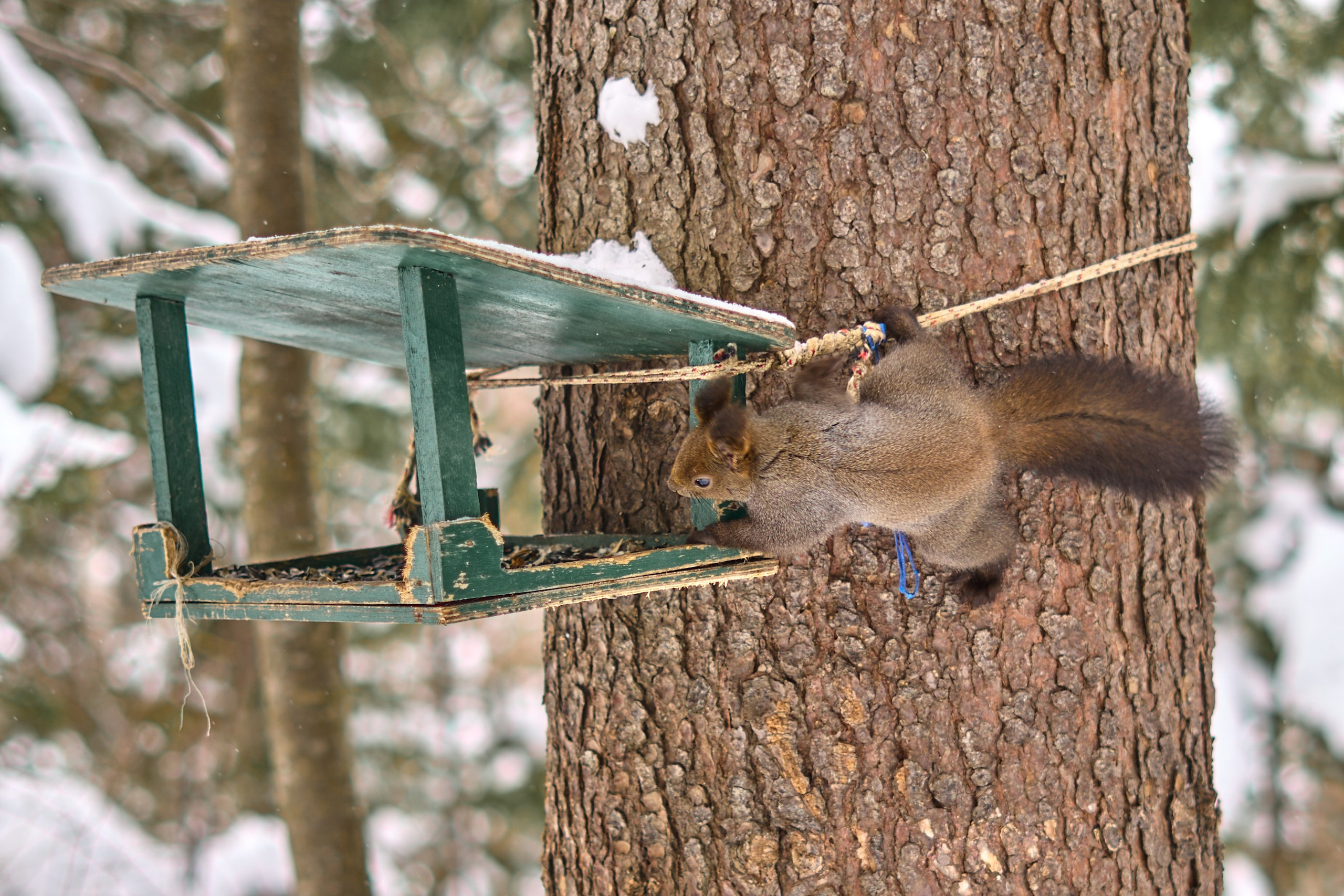 Природа. Фотограф Екатерина Зорина