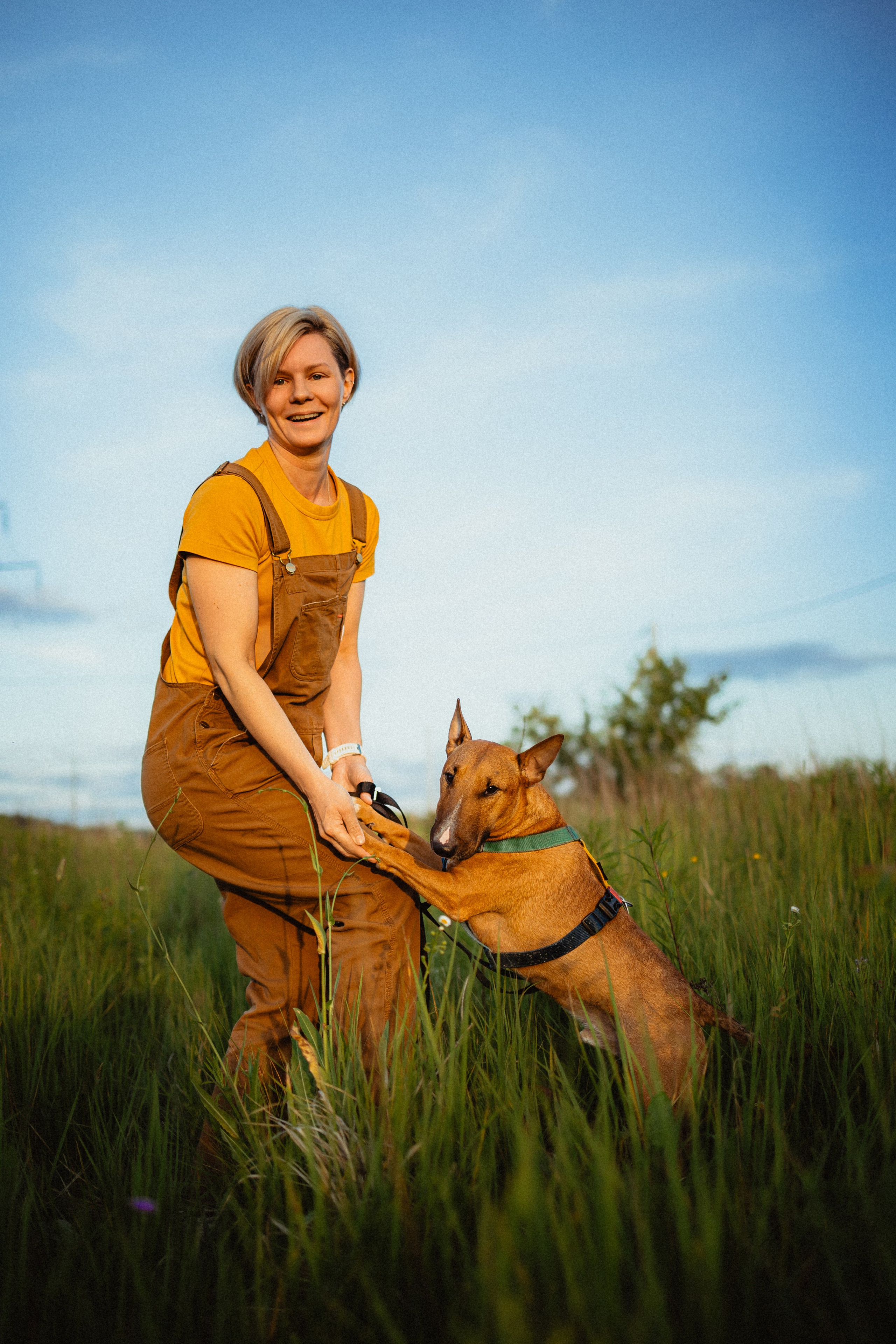 Выездной дог-тренинг от школы «Шерсть имею»