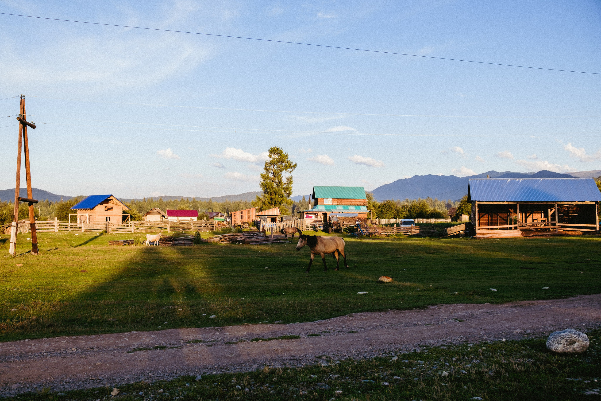 ALTAY CHILL (туристический репортаж). Фотограф Михаил Петров
