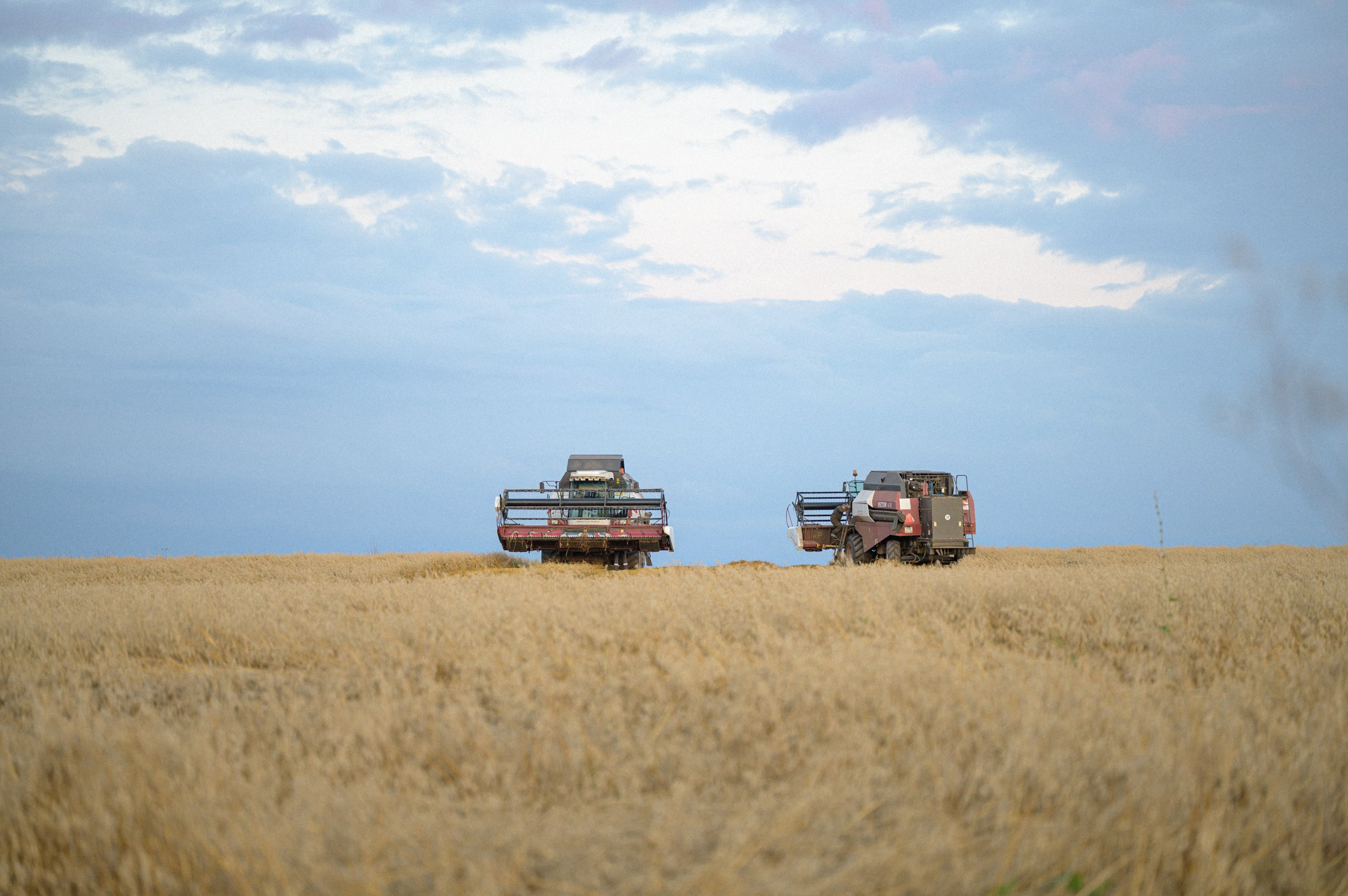 Природа. Максим Егоров, г. Ижевск. Репортажная, предметная съёмка и фуд-фотография