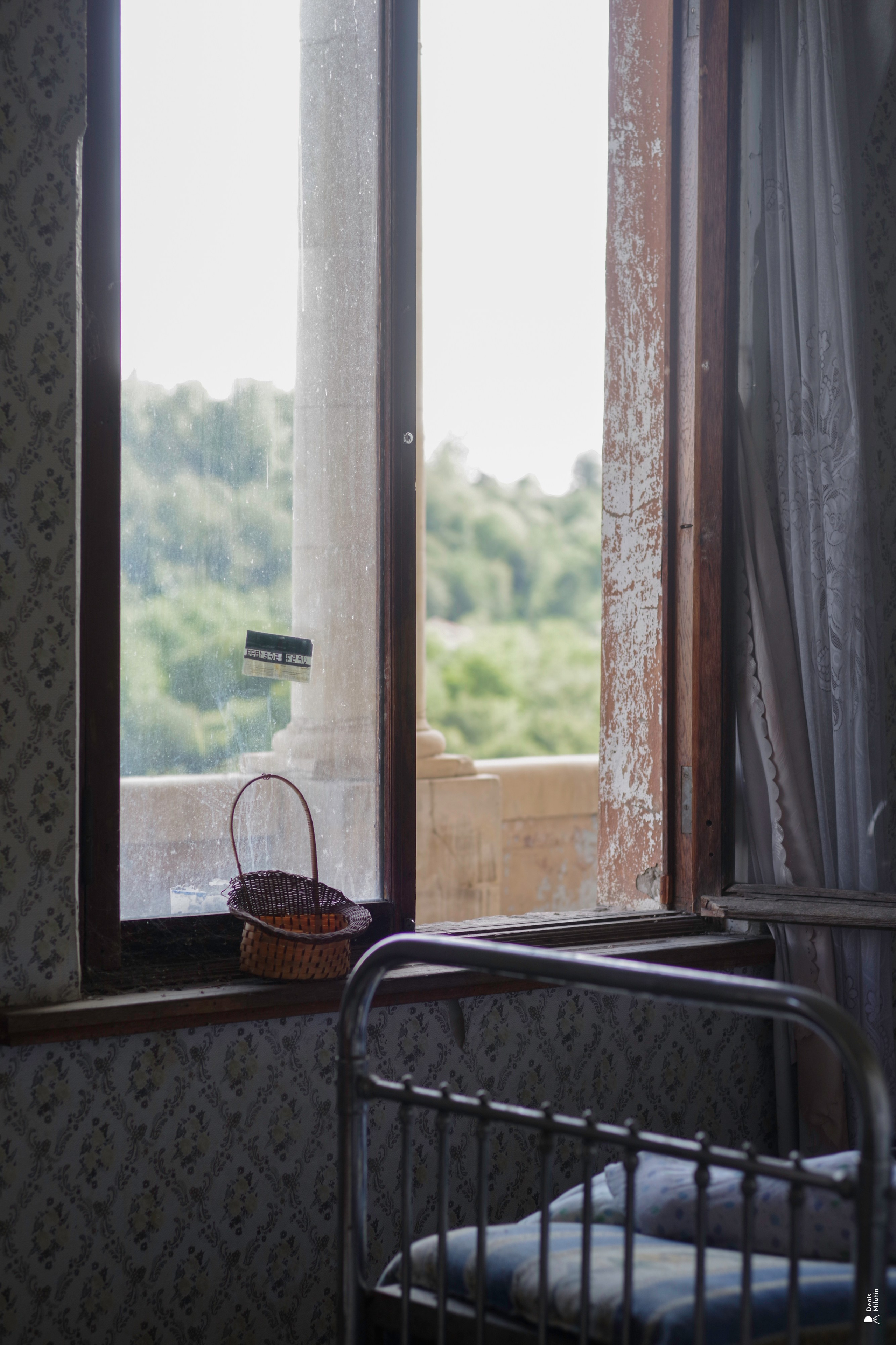 В отпуске с Артёмом. Портретный фотограф Денис Милютин