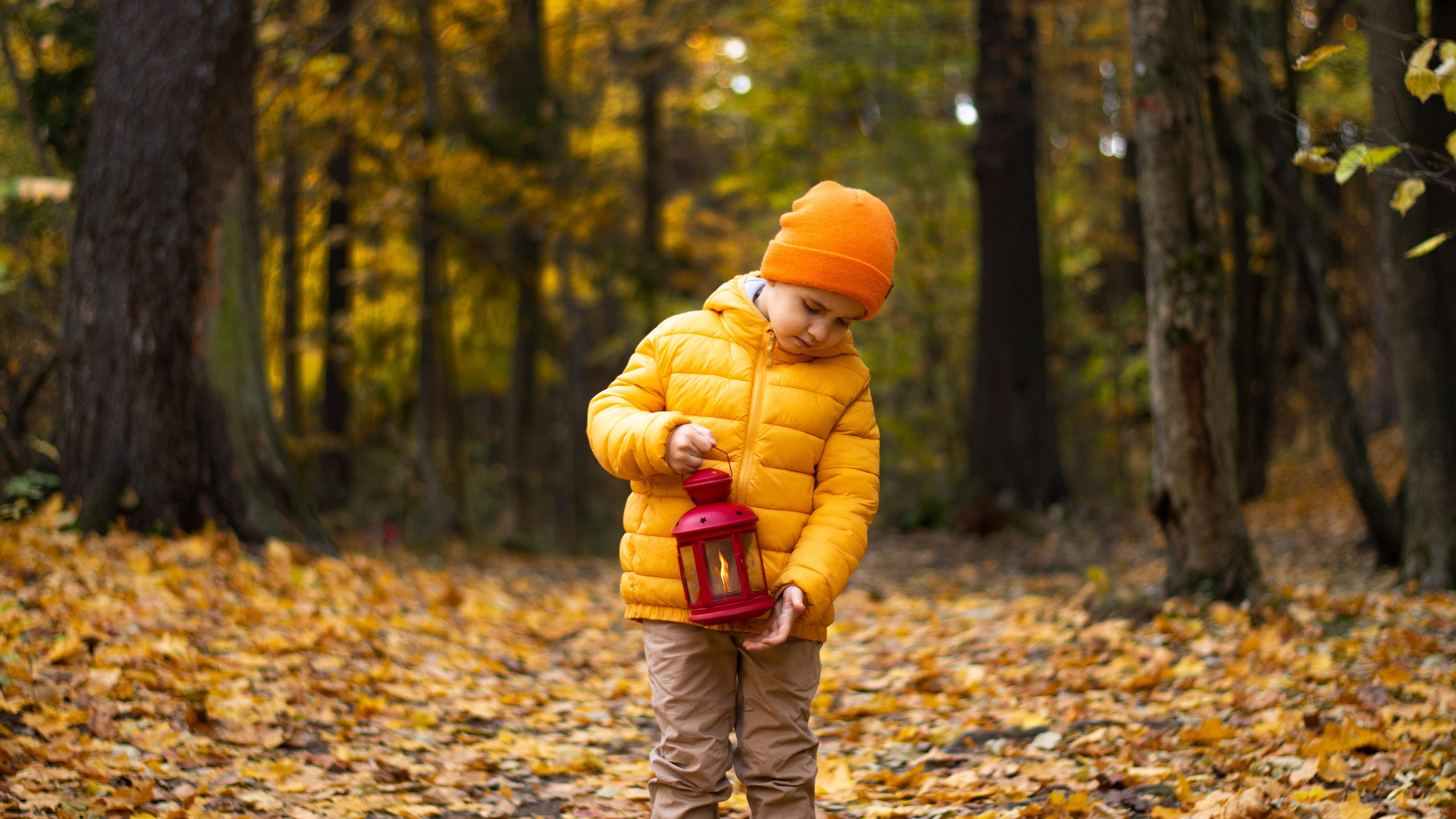 Фотограф Санкт-Петербург | Дарья Першина