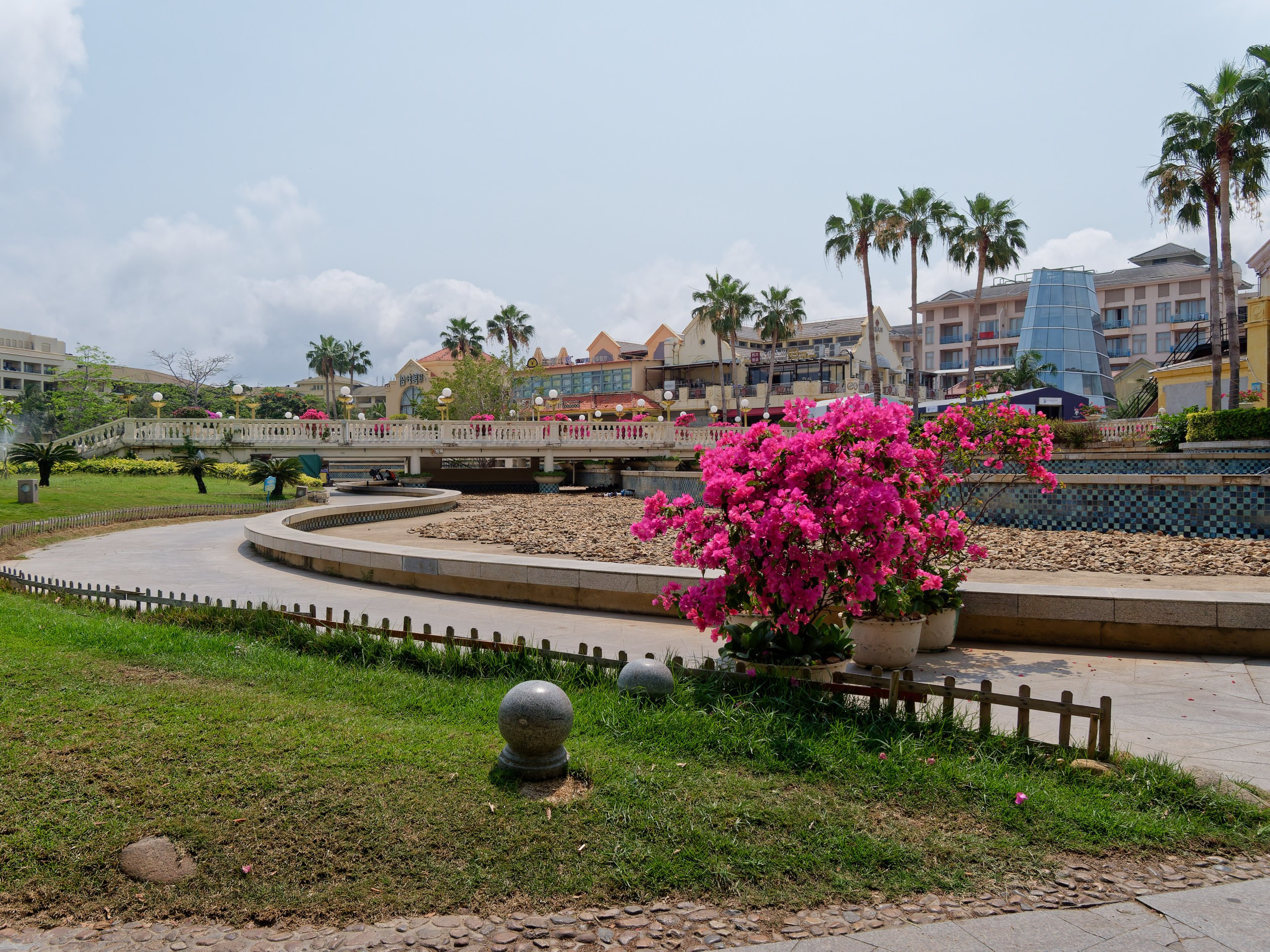 Хайнань 2026, флора, цветы и деревья. Фотопрогулки по Миру