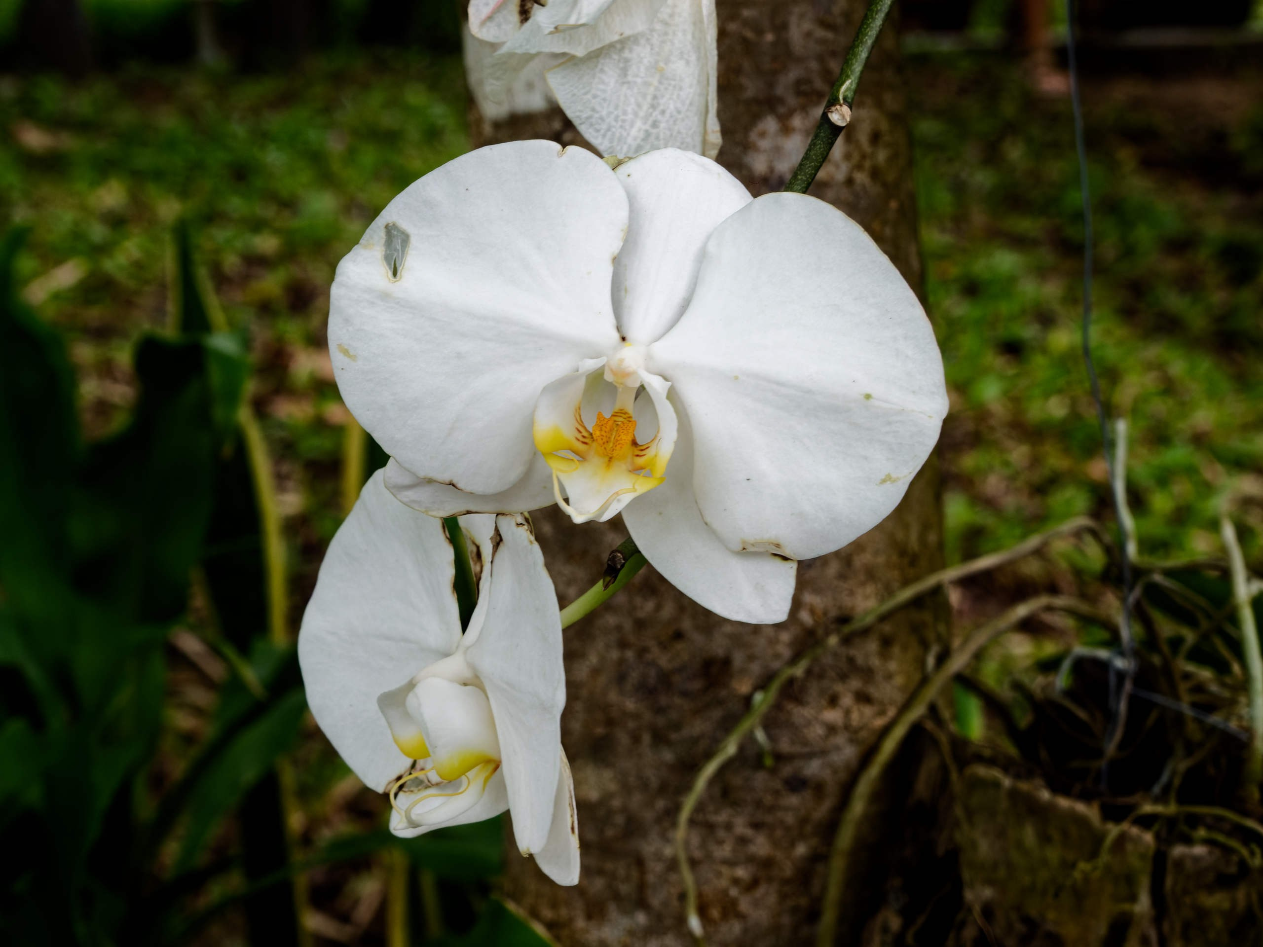 Нячанг 2025 (4). Избранные фотографии