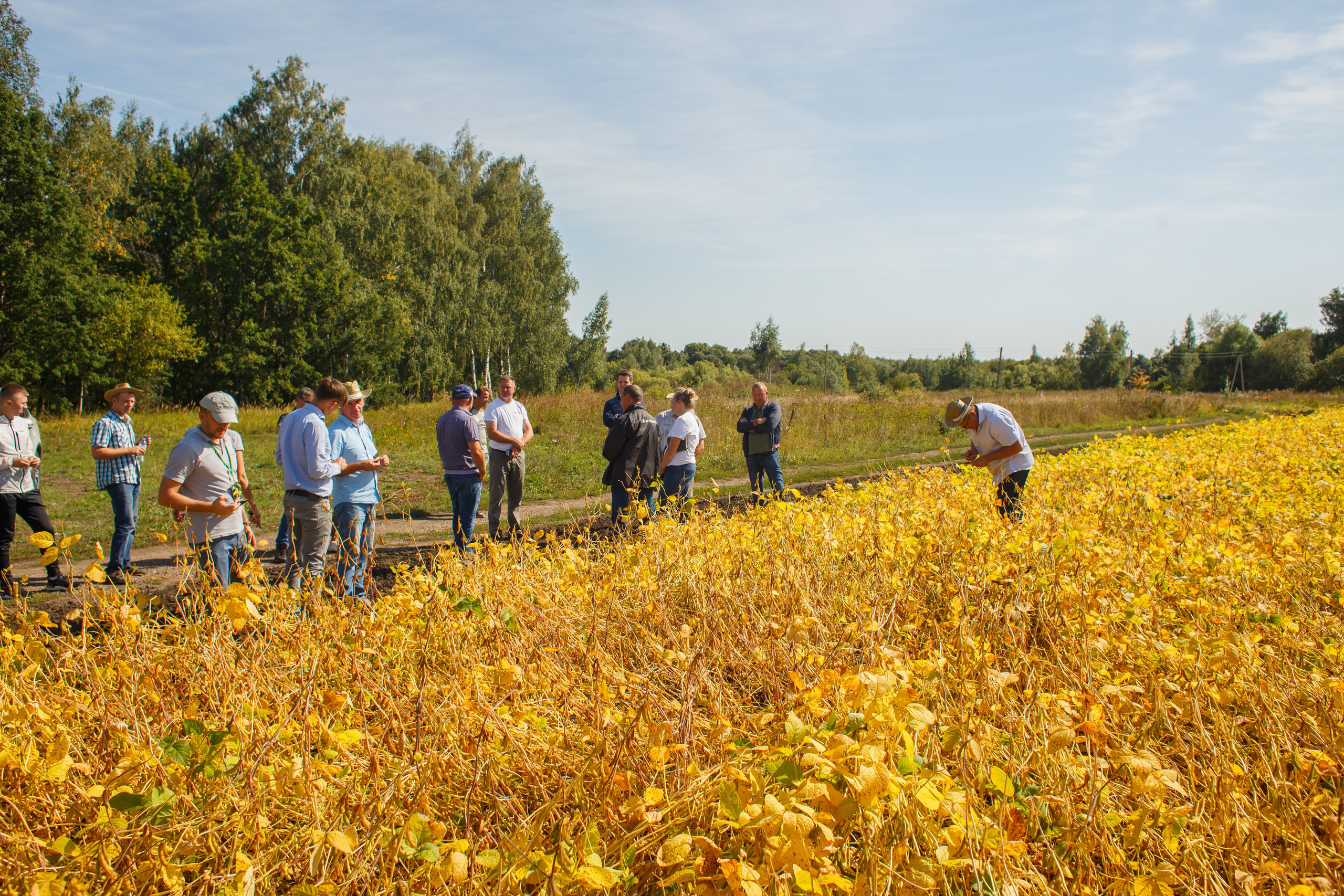 Агротерра. Фотограф Яков Поспехов