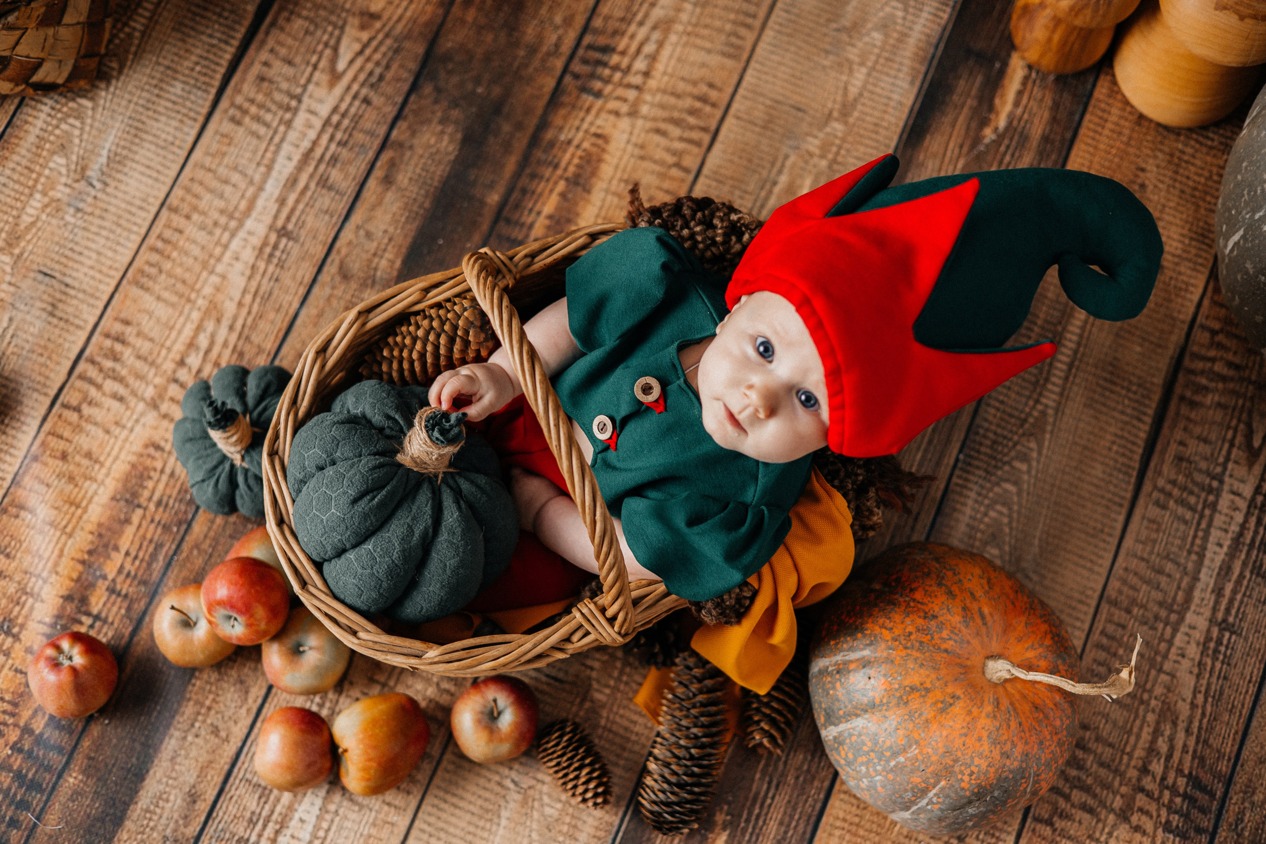 Гномы. Фотограф новорождённых Екатерина Боброва. Ульяновск