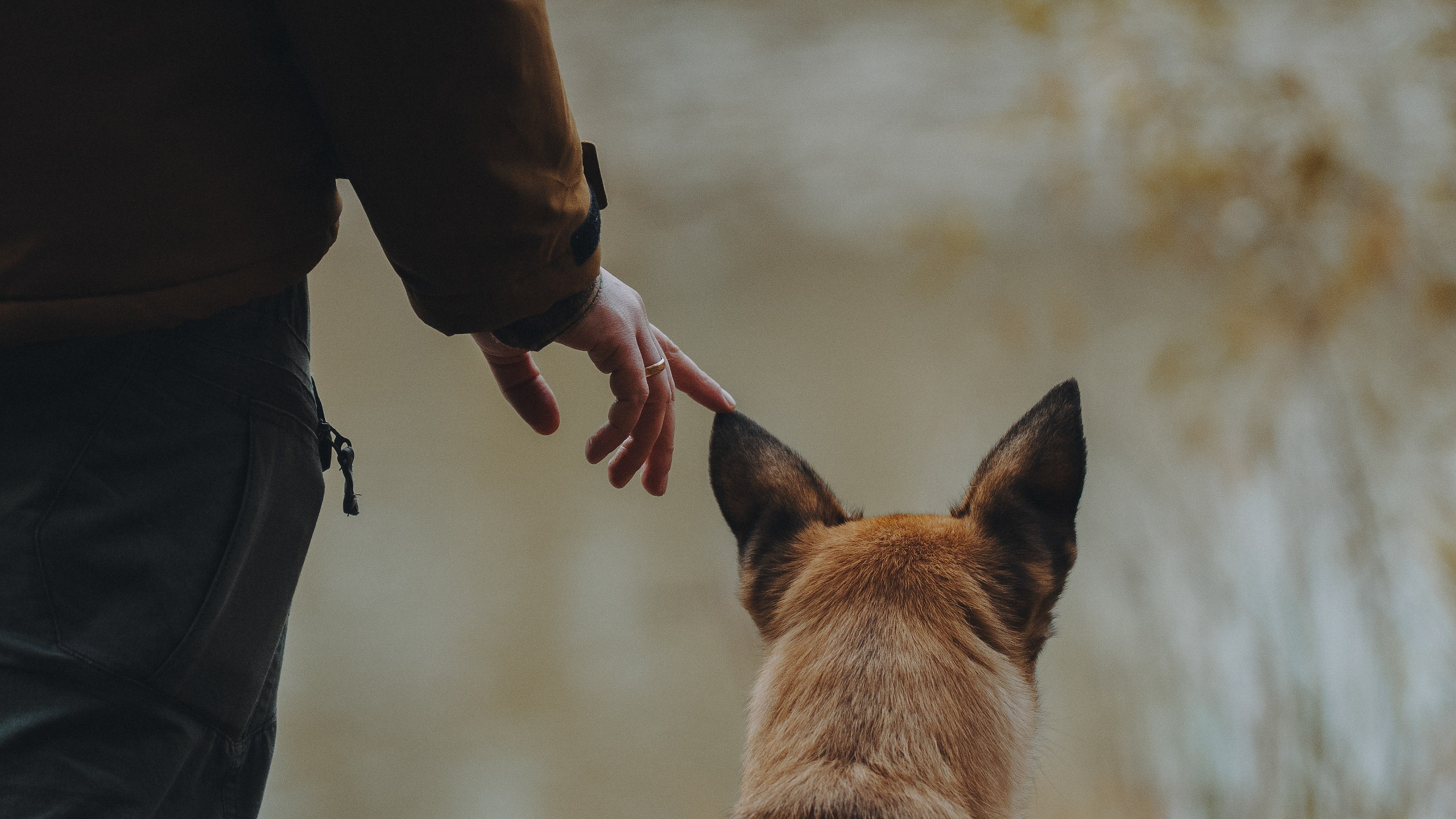 Наталия, Иван и Урса. Фотограф анималист в Москве и Санкт-Петербурге Свиридова Анна
