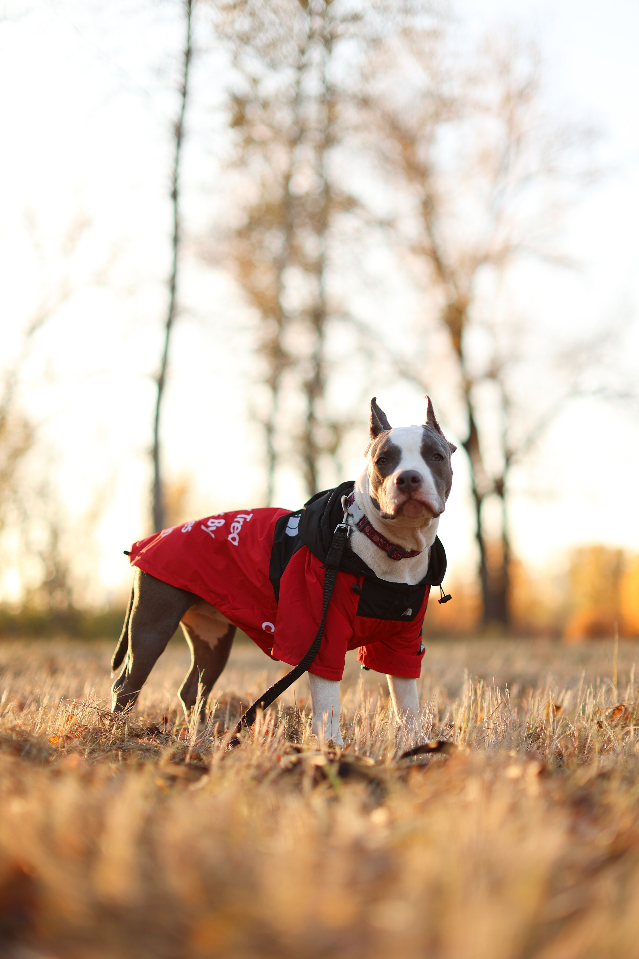 Осень. Art my Pho