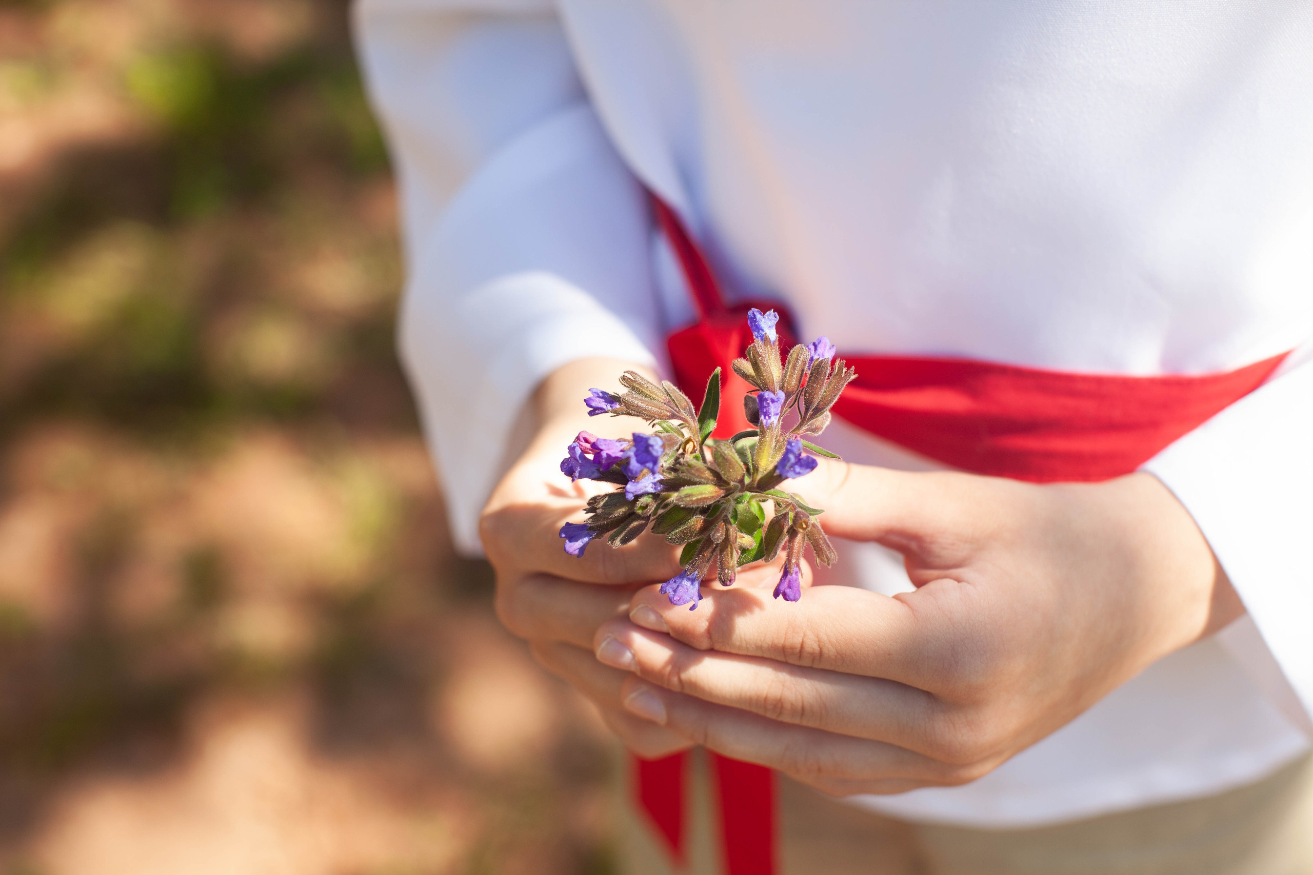 Летний день. Art my Pho