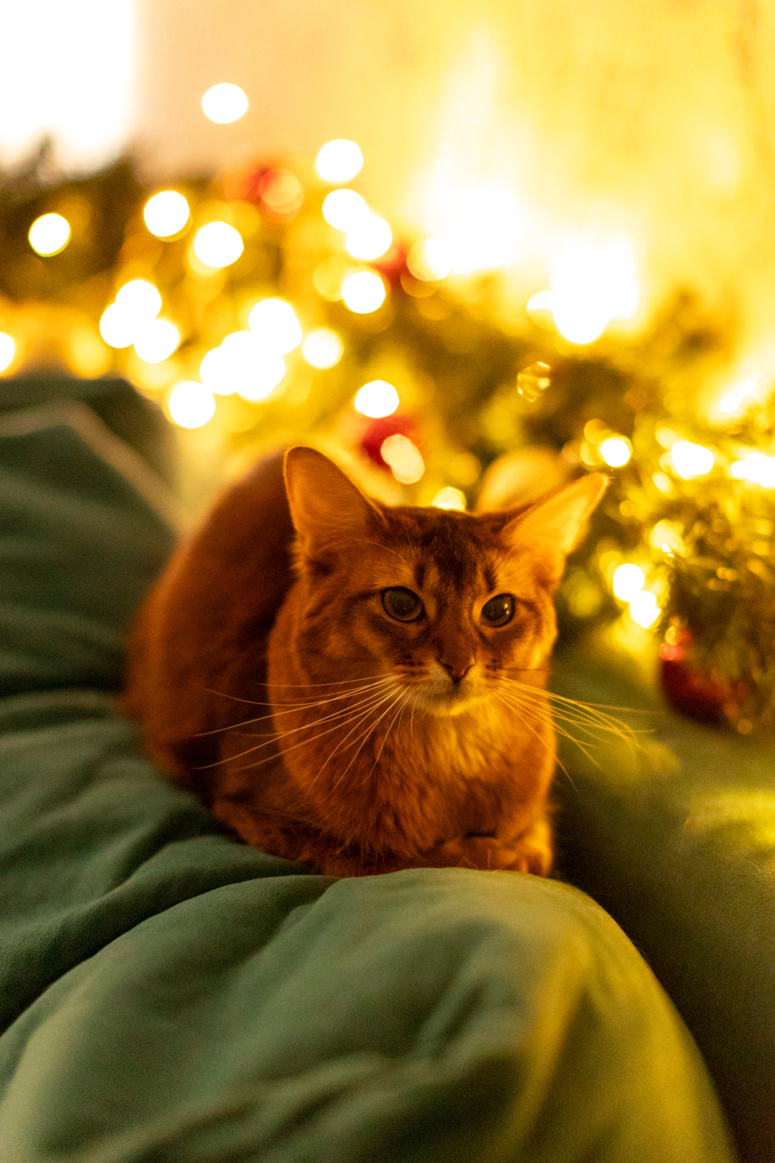 Сомали. Art my Pho