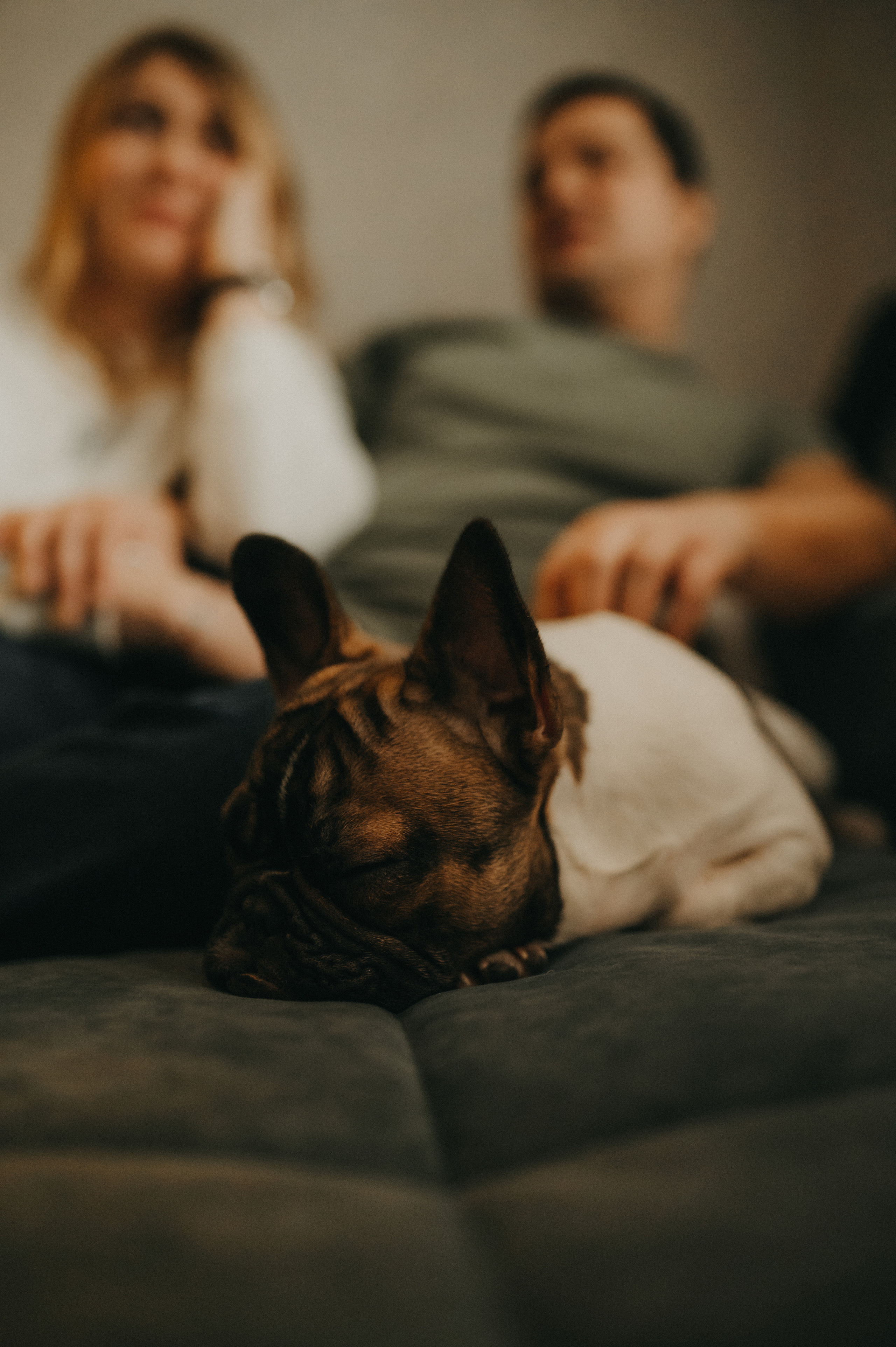 Для Маши, Давыда, Ильи, Алёны, Даши, Барона и Клауса. Семейный фотограф в Новомосковске, Туле и Москве Ольга Бубликова