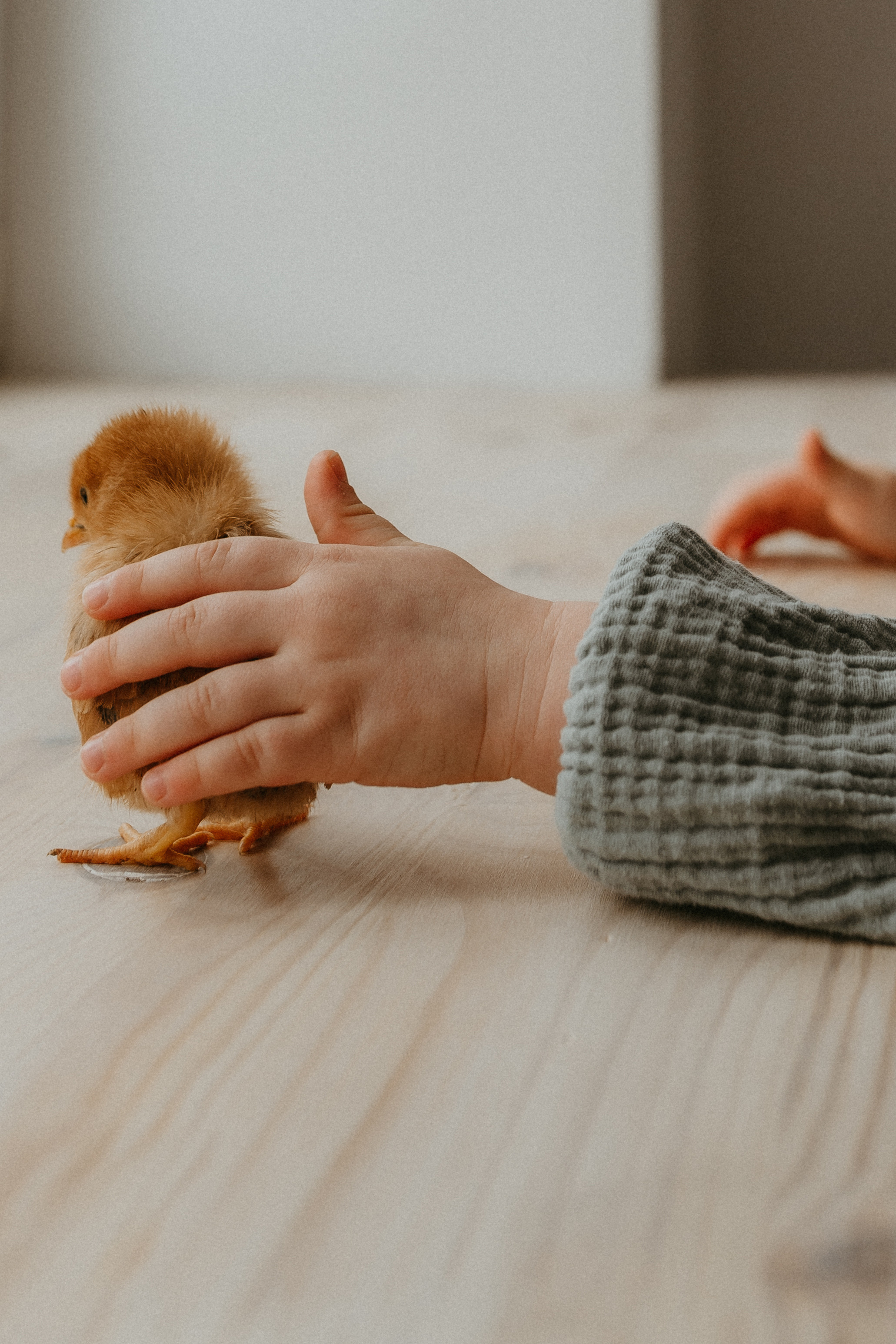 Для Наташи, Лёши и Олеси. Семейный фотограф в Новомосковске, Туле и Москве Ольга Бубликова
