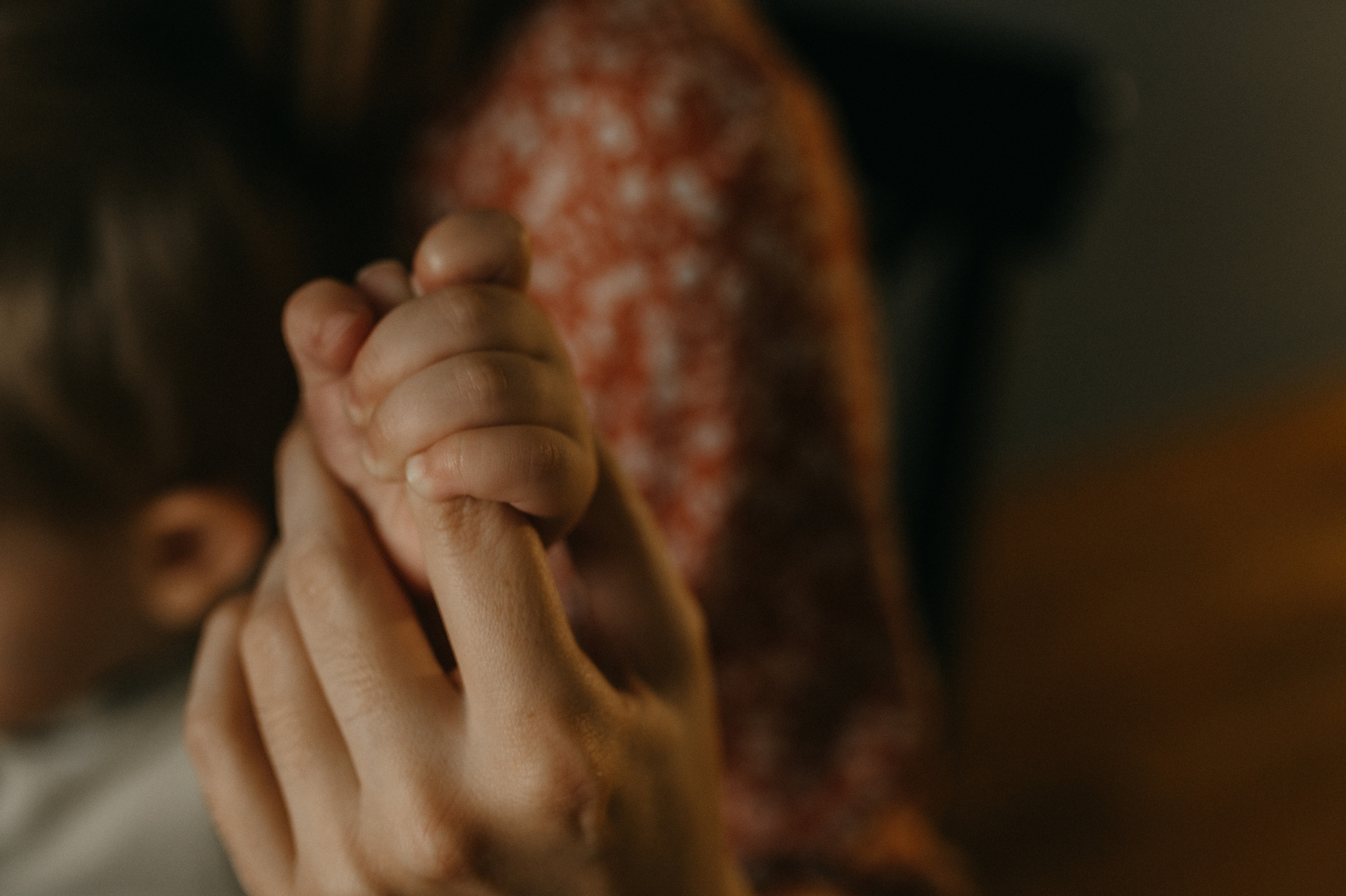 Для Кости, Оли, Кирилла, Димы, Марии Алексеевны и Луши. Семейный фотограф в Новомосковске, Туле и Москве Ольга Бубликова