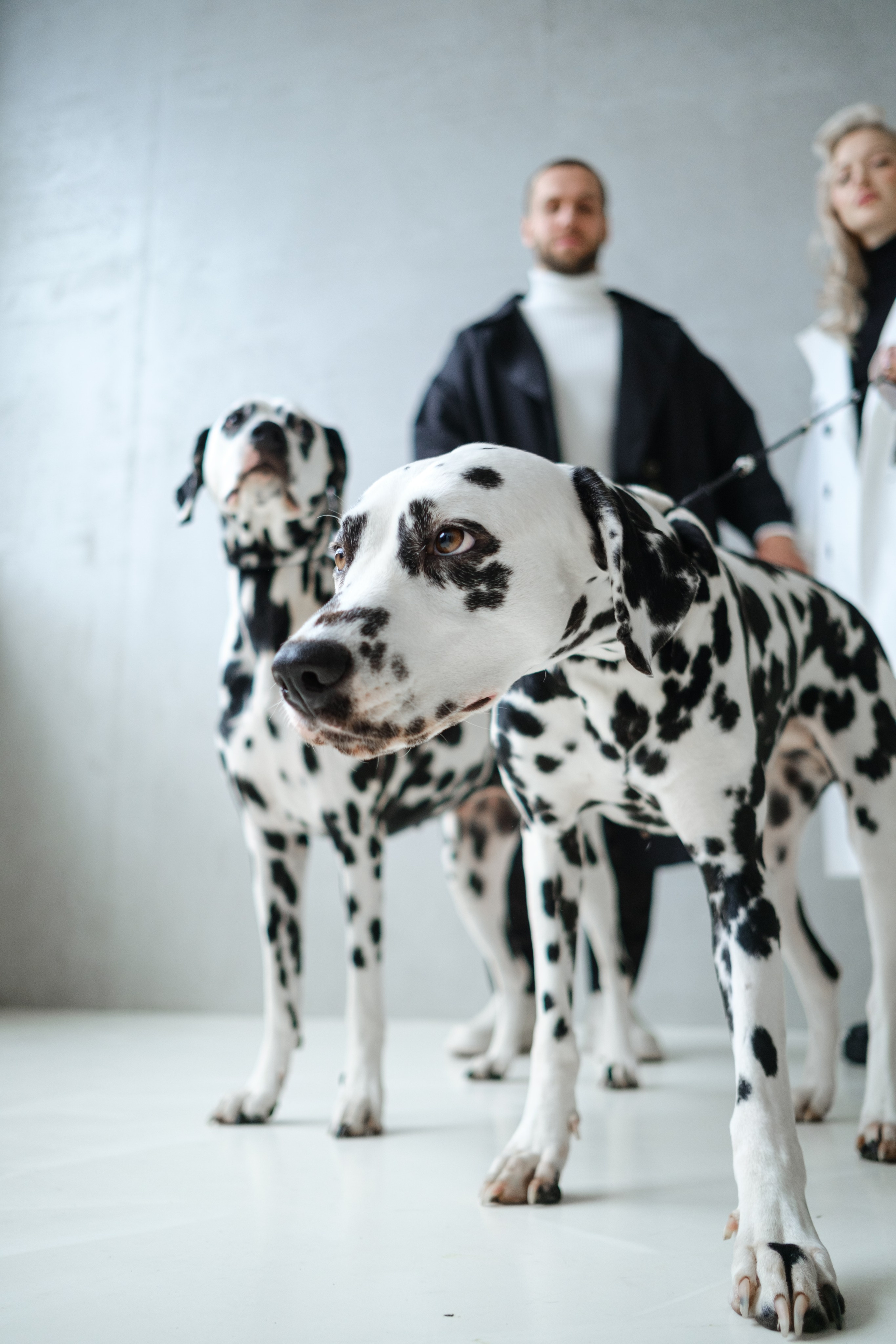 Александра и Роман. Фотограф в Москве и Санкт-Петербурге