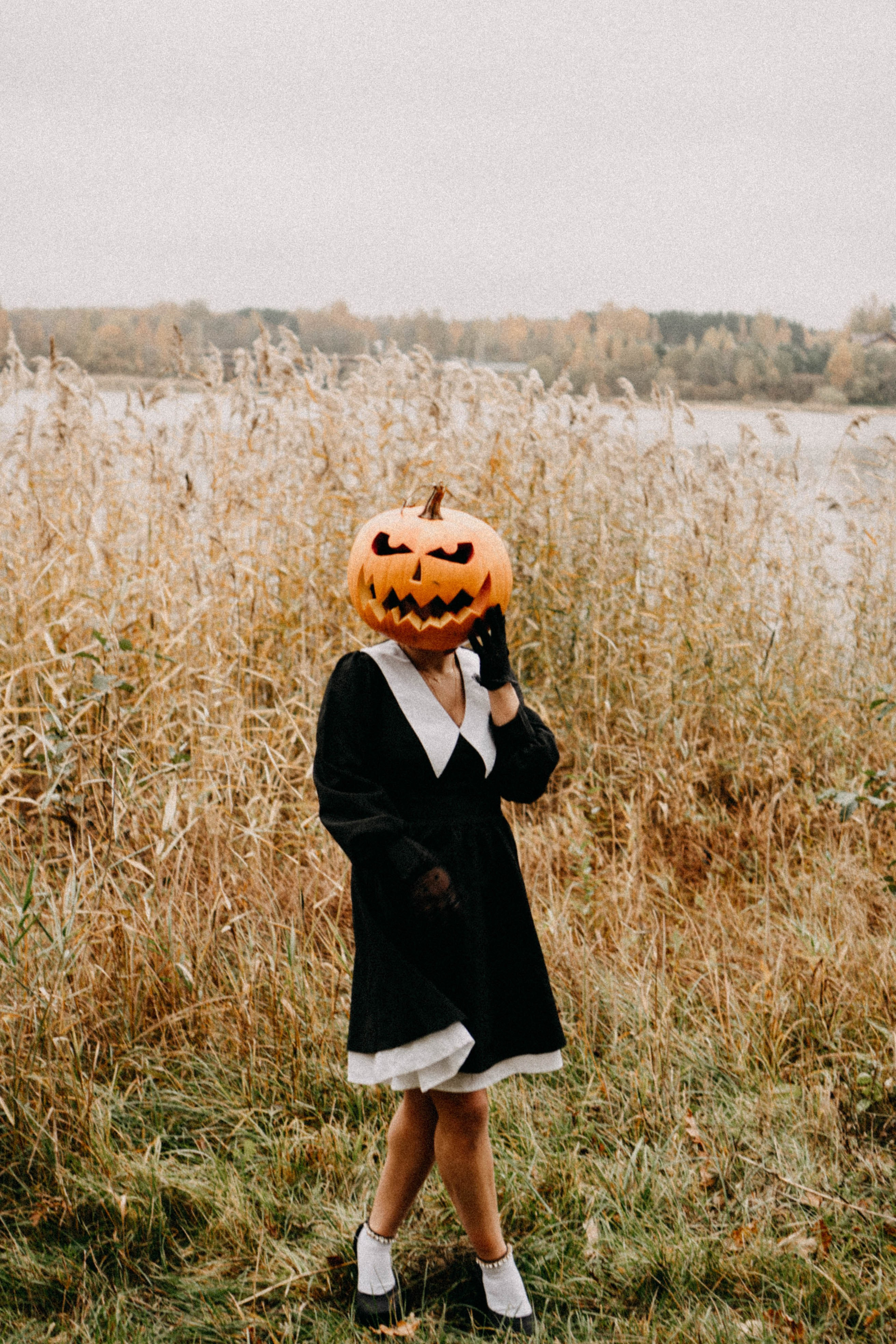 Осеняя. Профессиональный фотограф, Санкт-Петербург — Виктория Богомолова