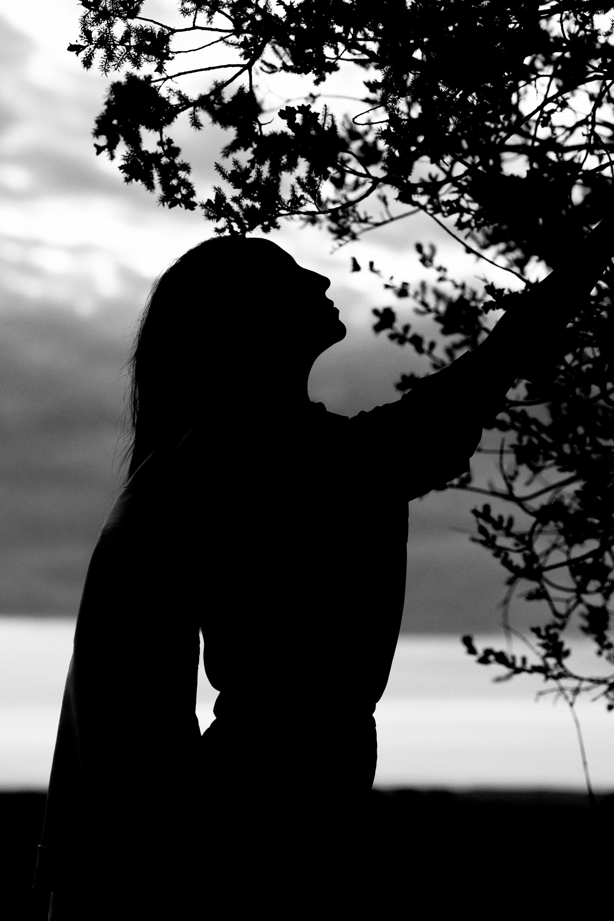 Полевая коллекция. Индивидуальный фотограф в Красноярске