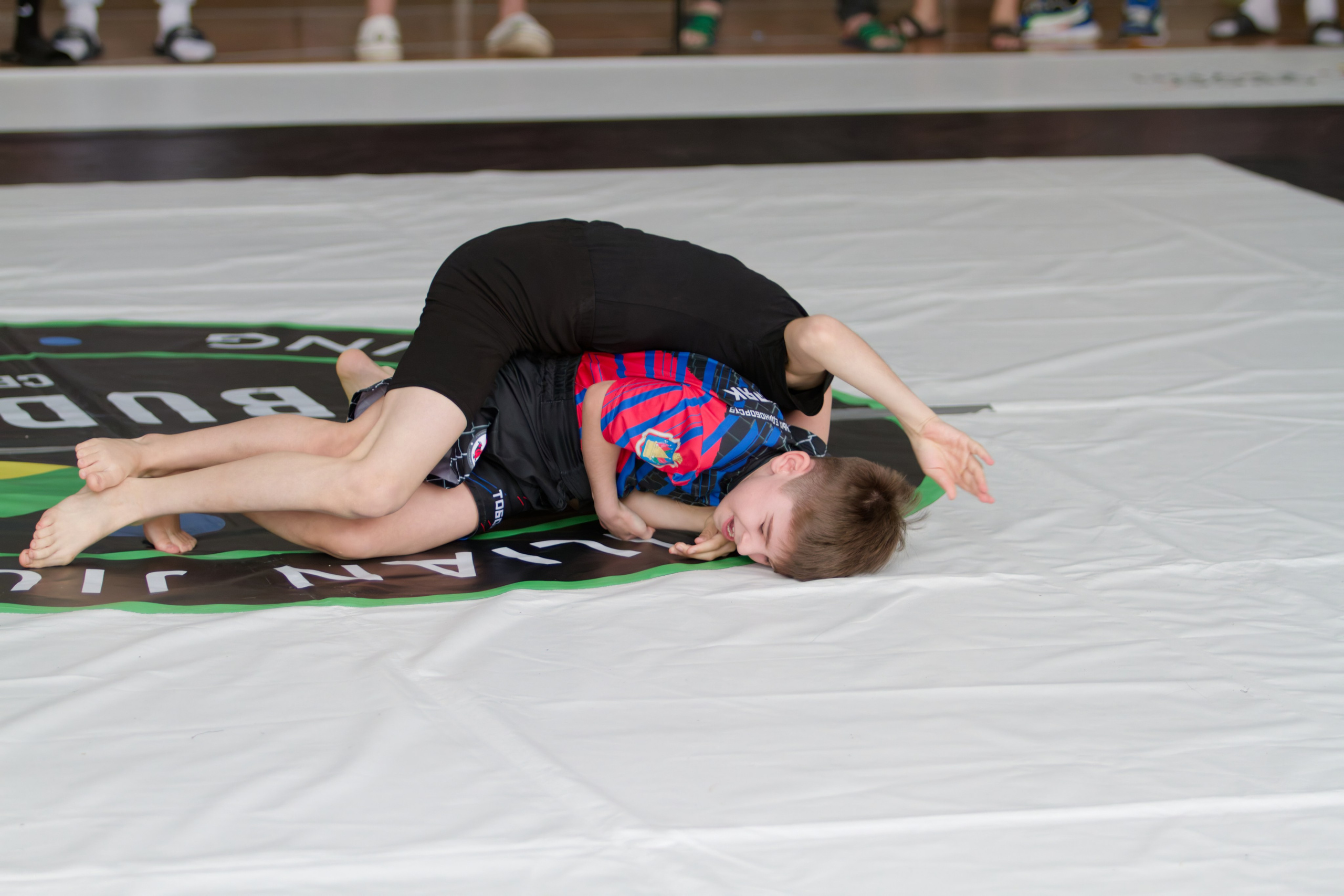 Борьба. Джиу-джитсу 26.04.2025. Репортажный и спортивный фотограф в г. Пермь Зильберг Павел