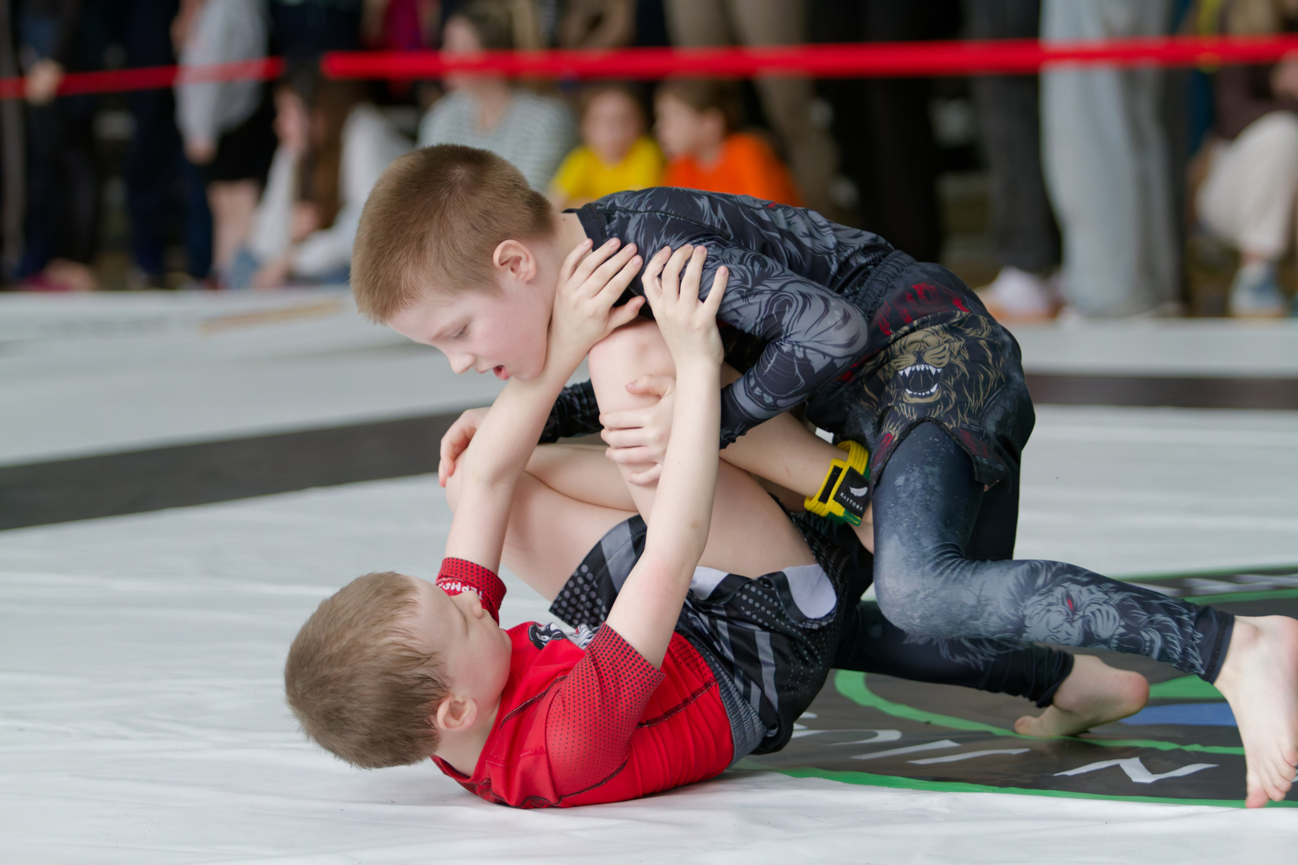 Борьба. Джиу-джитсу 26.04.2025. Репортажный и спортивный фотограф в г. Пермь Зильберг Павел