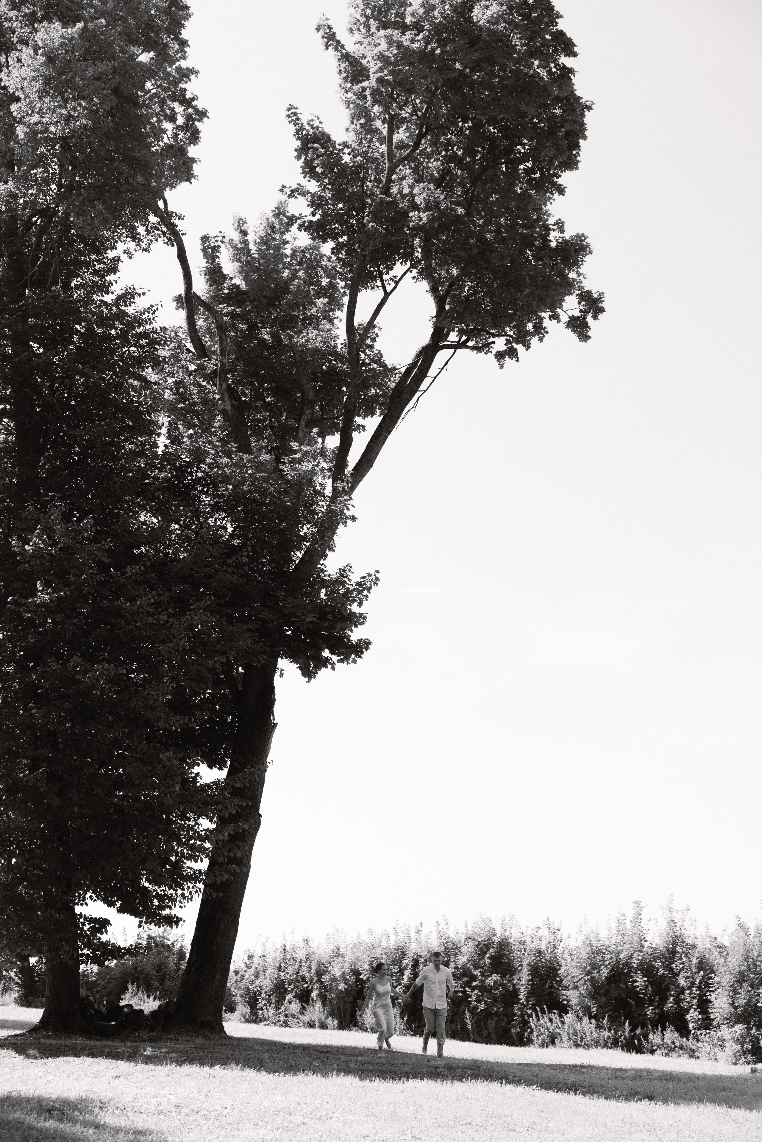 Свадебный фотограф / Reels Нижний Новгород Татьяна Красильникова