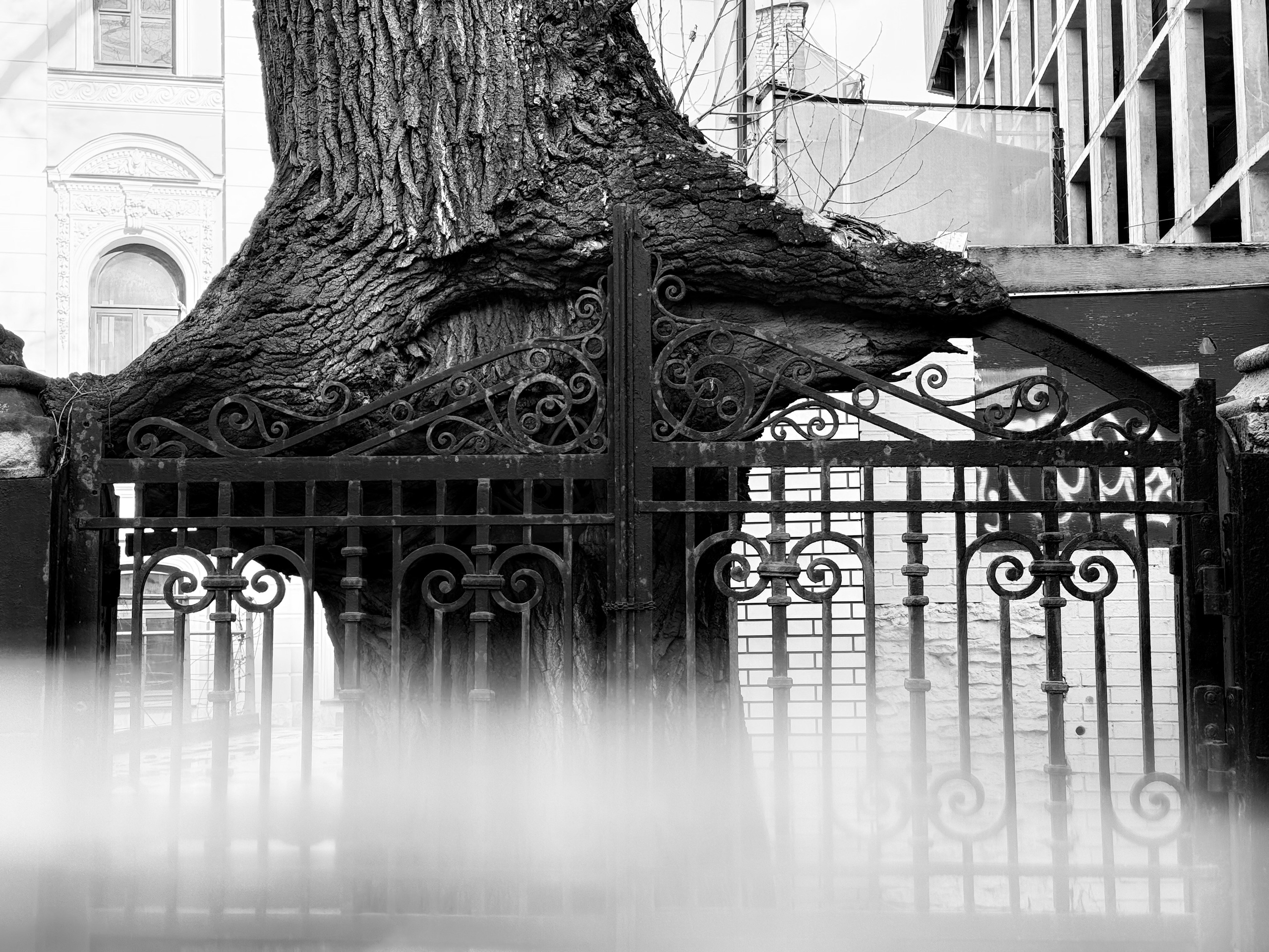 Разное. Niki Kohmansky Портретный фотограф Москва