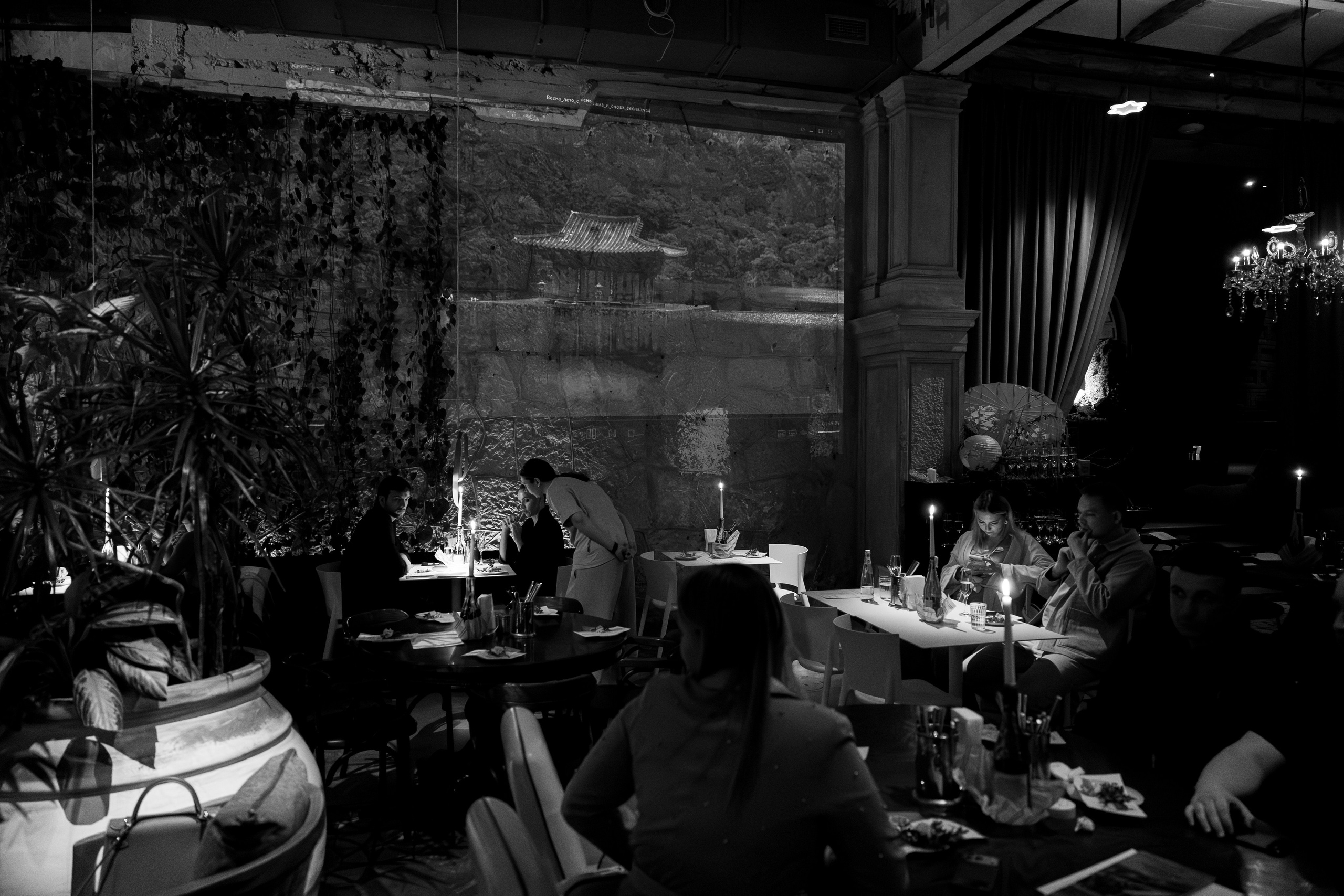 Азия в Гастродворе. Дженбаз Павел — фотограф в Ялте