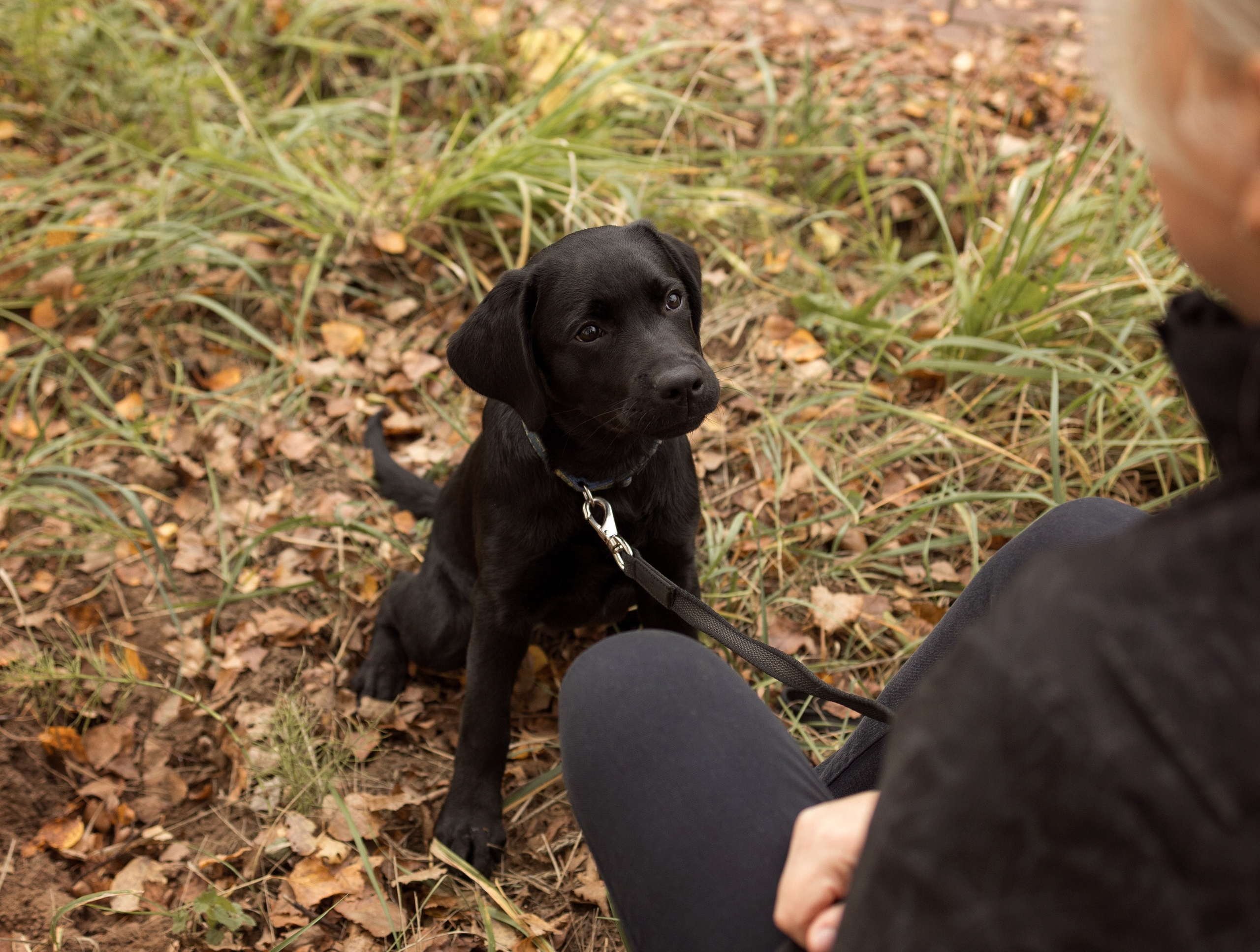 Анастасия и маленькая Юна. Фотограф — Анималист Наталья Тямушева
