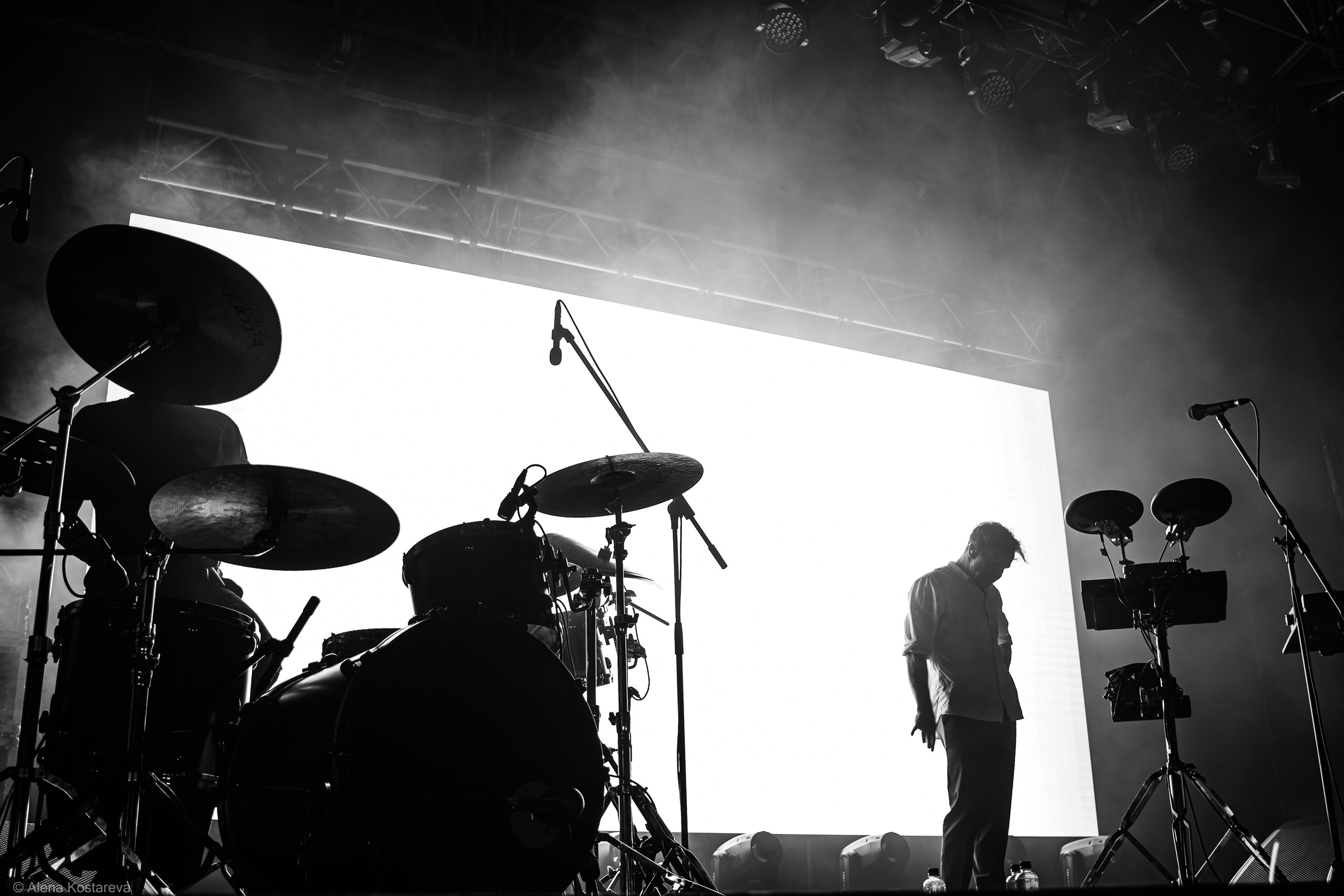 Dolphin. Алена Костарева. Фотограф в Ростове-на-Дону