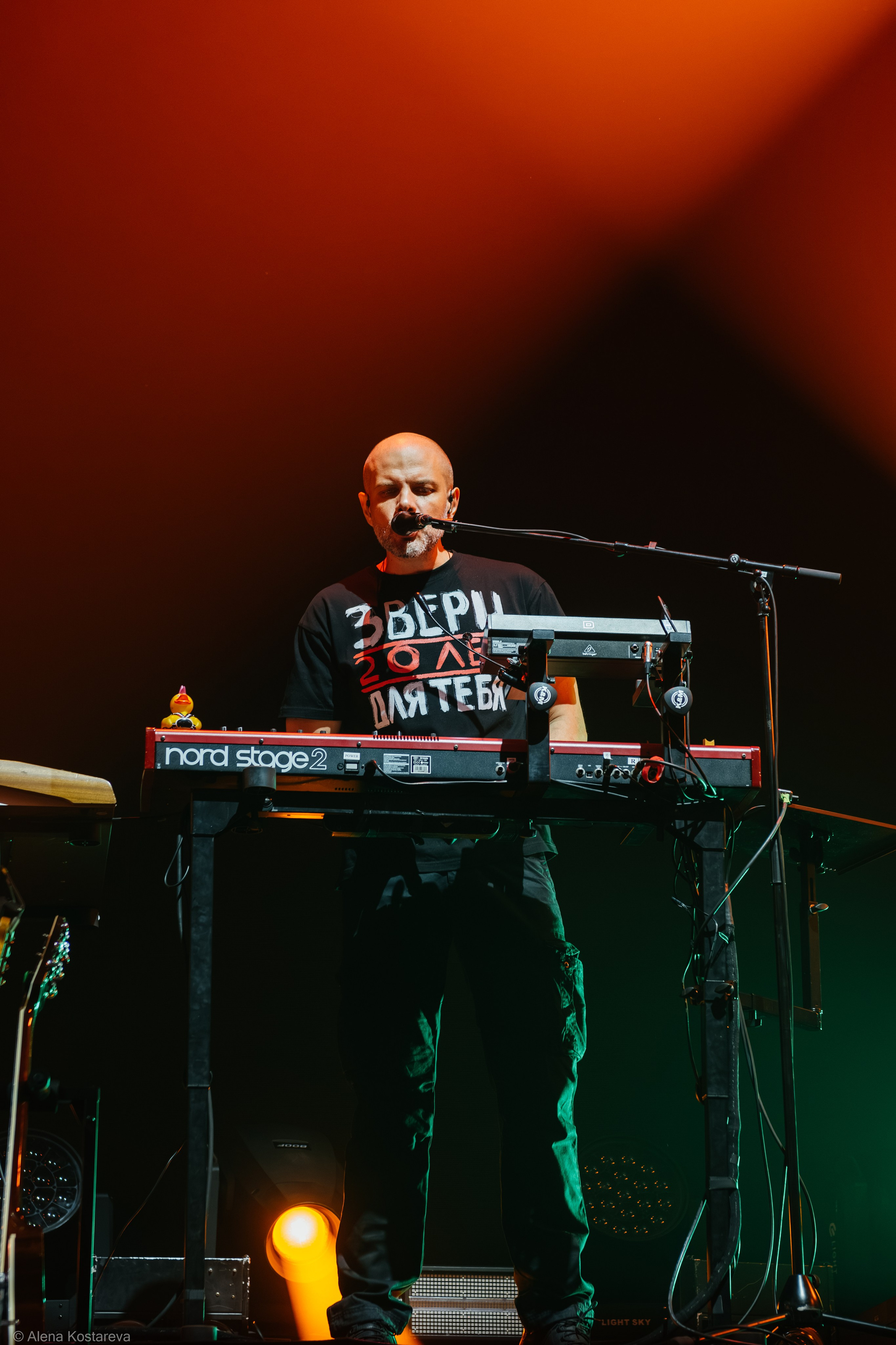 Звери. Алена Костарева. Фотограф в Ростове-на-Дону